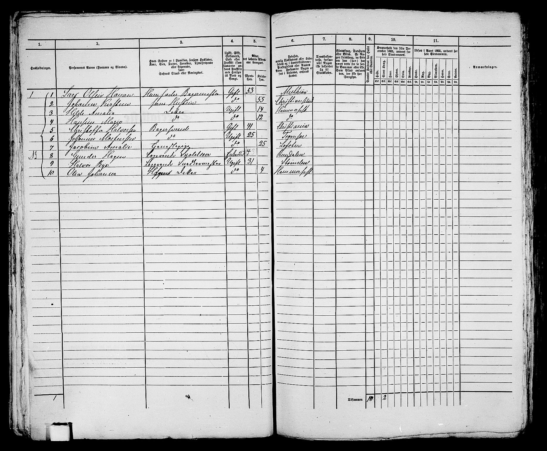 RA, Folketelling 1865 for 2001B Hammerfest prestegjeld, Hammerfest kjøpstad, 1865, s. 96