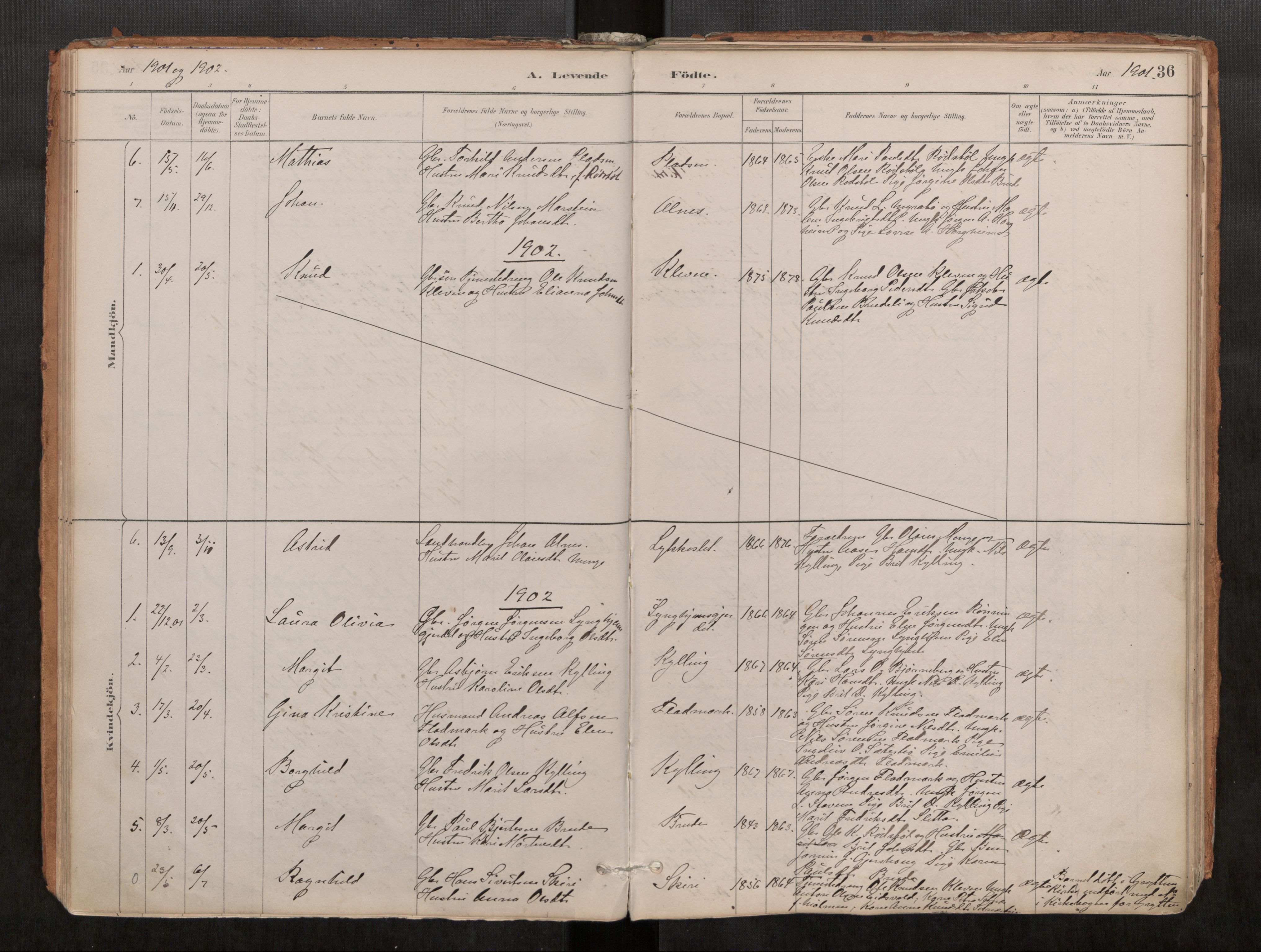 Ministerialprotokoller, klokkerbøker og fødselsregistre - Møre og Romsdal, SAT/A-1454/546/L0599: Ministerialbok nr. 546A03, 1882-1920, s. 36