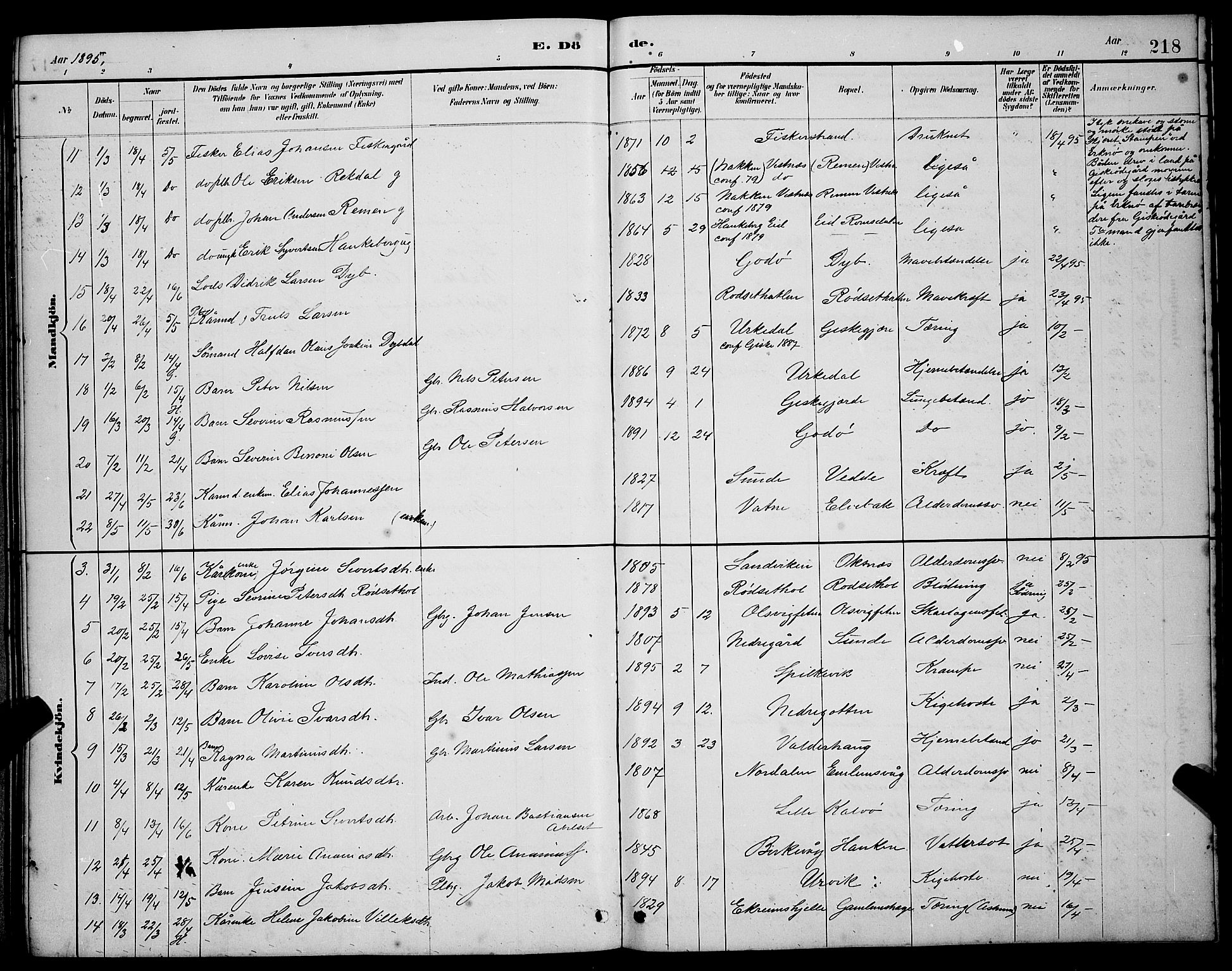 Ministerialprotokoller, klokkerbøker og fødselsregistre - Møre og Romsdal, AV/SAT-A-1454/528/L0430: Klokkerbok nr. 528C11, 1884-1899, s. 218