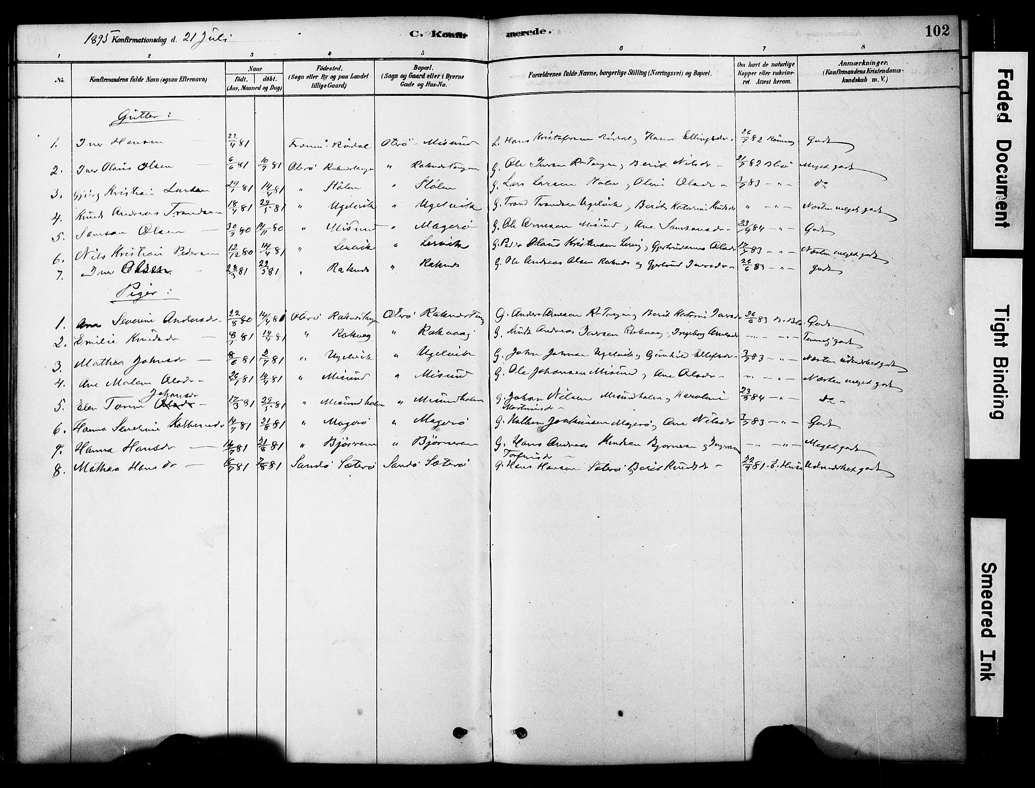 Ministerialprotokoller, klokkerbøker og fødselsregistre - Møre og Romsdal, AV/SAT-A-1454/563/L0736: Ministerialbok nr. 563A01, 1878-1903, s. 102