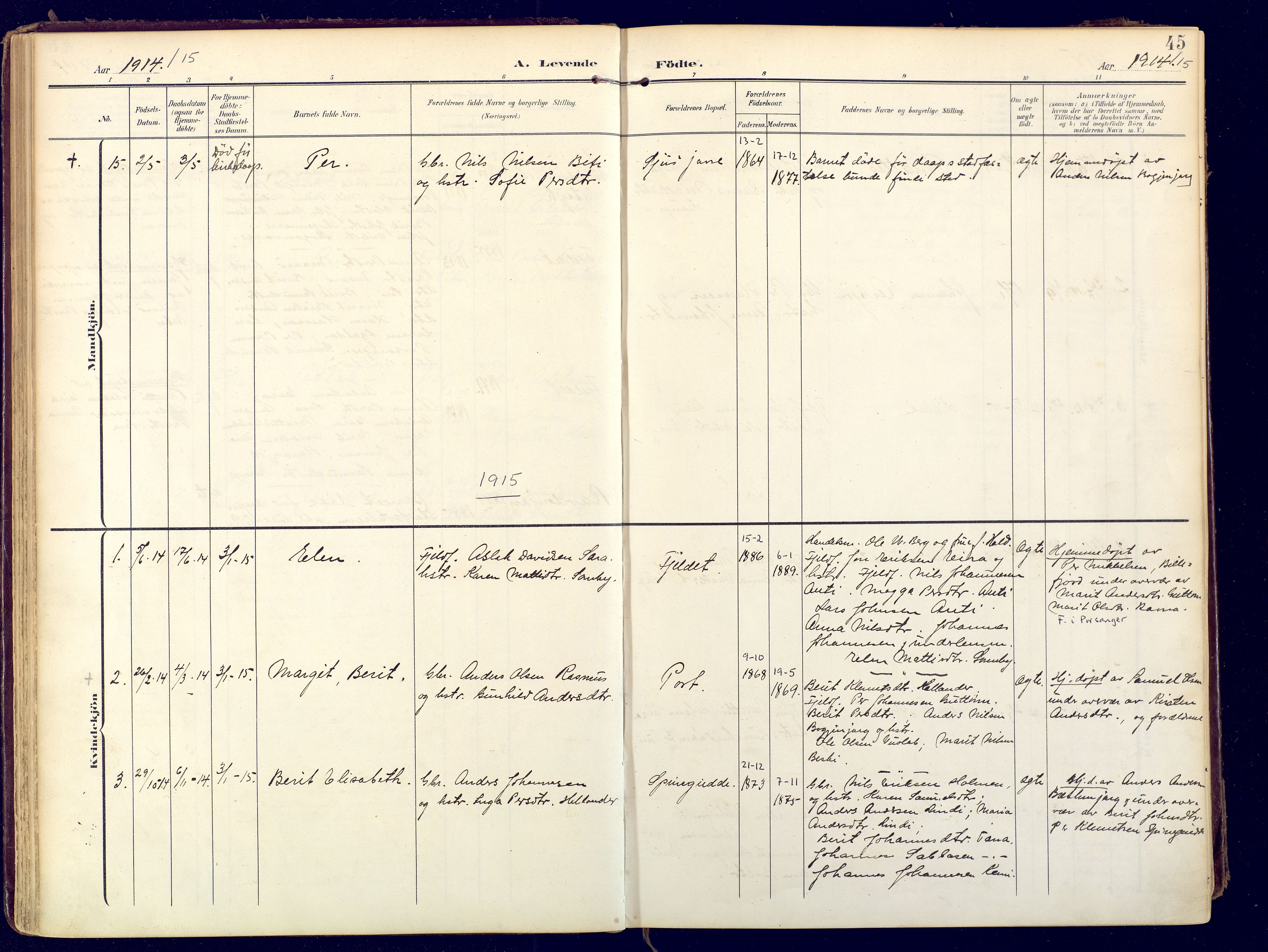 Karasjok sokneprestkontor, AV/SATØ-S-1352/H/Ha: Ministerialbok nr. 3, 1907-1926, s. 45