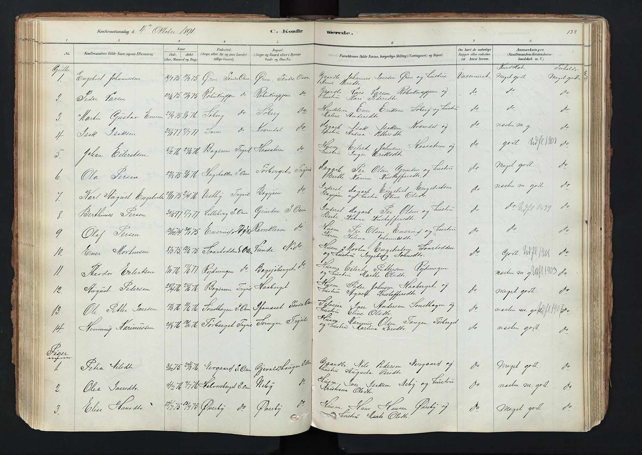 Trysil prestekontor, AV/SAH-PREST-046/H/Ha/Haa/L0011: Ministerialbok nr. 11, 1878-1912, s. 132