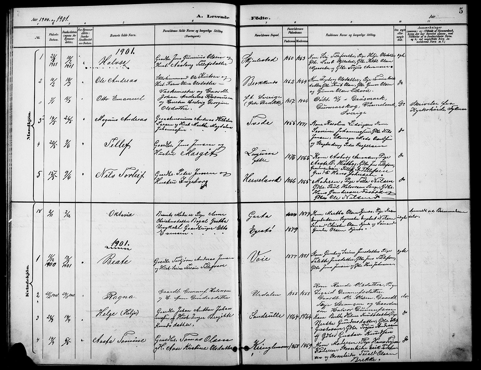 Austre Moland sokneprestkontor, SAK/1111-0001/F/Fb/Fba/L0004: Klokkerbok nr. B 4a, 1897-1913, s. 5