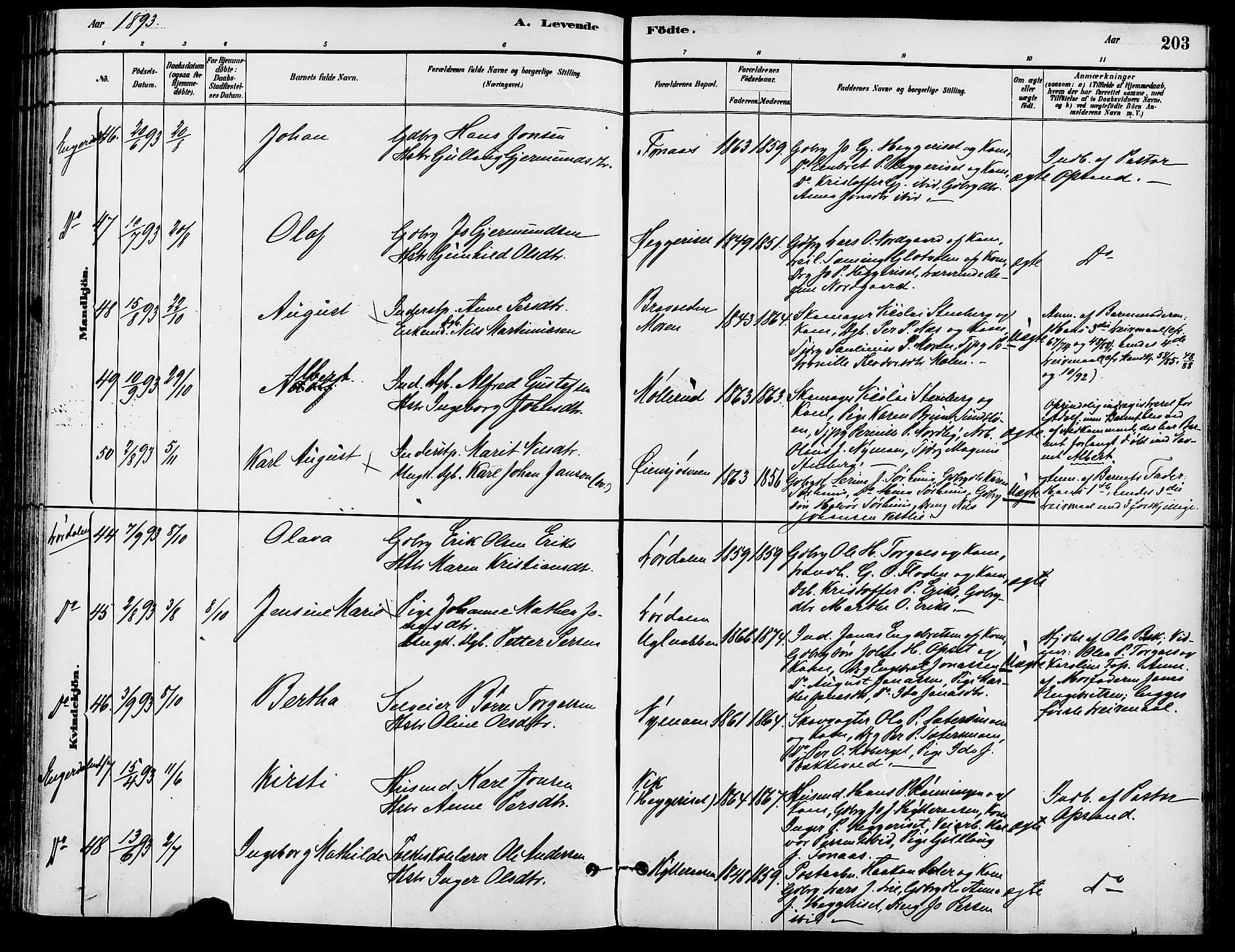 Trysil prestekontor, AV/SAH-PREST-046/H/Ha/Haa/L0008: Ministerialbok nr. 8, 1881-1897, s. 203