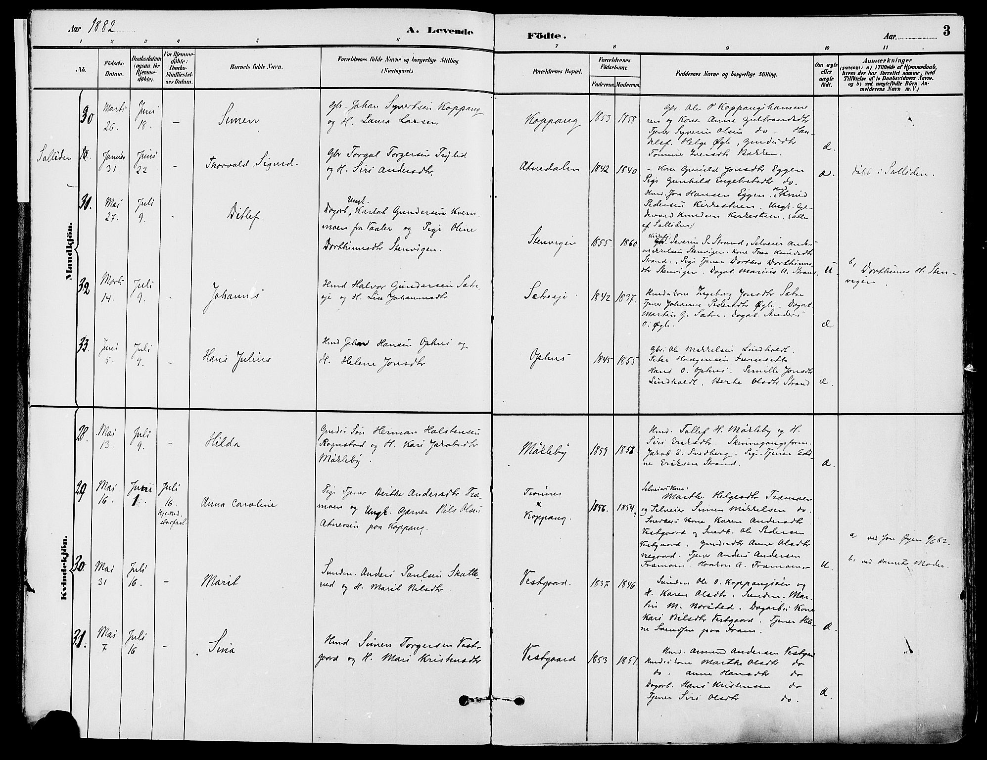 Stor-Elvdal prestekontor, AV/SAH-PREST-052/H/Ha/Haa/L0002: Ministerialbok nr. 2, 1882-1907, s. 3