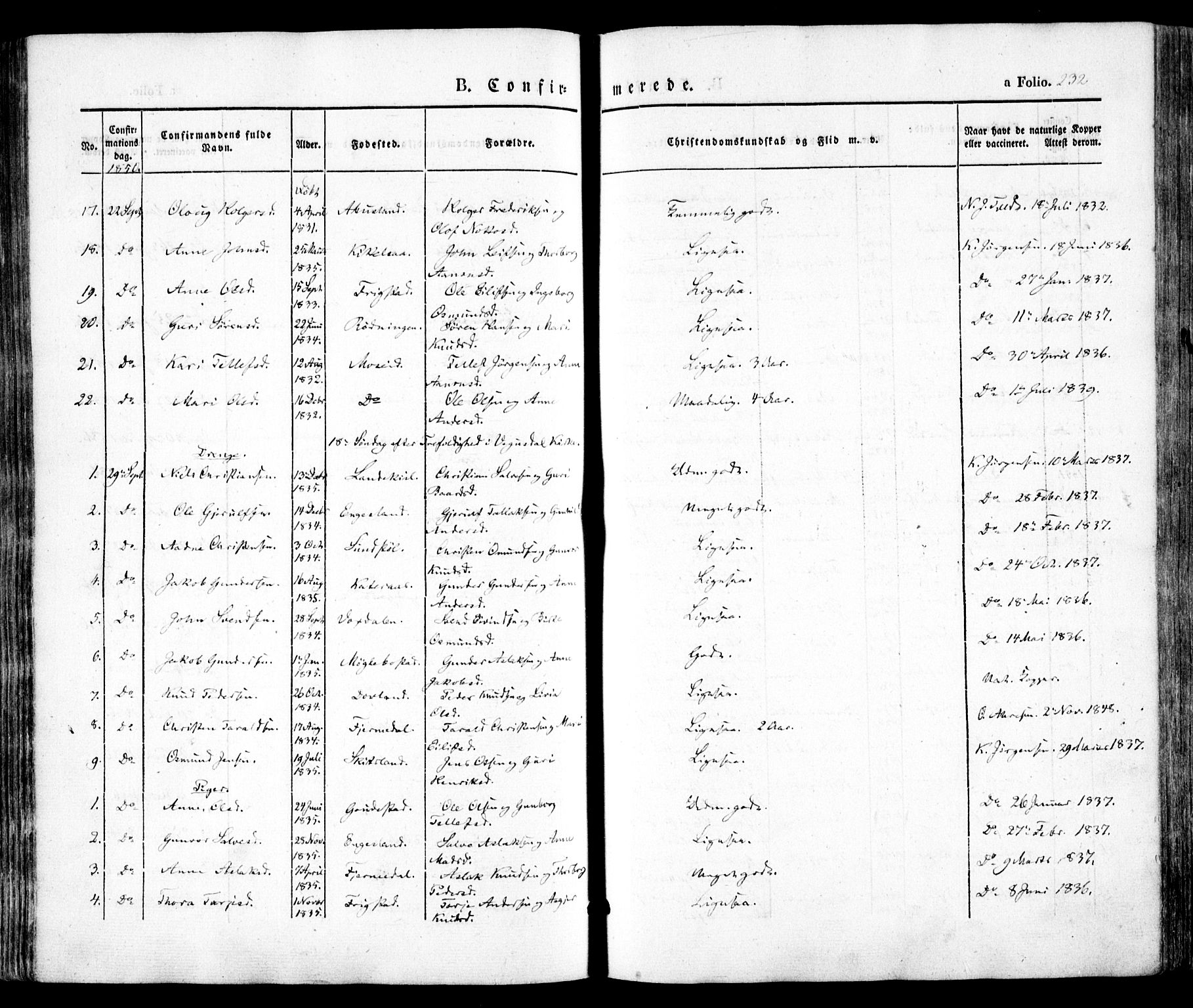 Evje sokneprestkontor, SAK/1111-0008/F/Fa/Faa/L0005: Ministerialbok nr. A 5, 1843-1865, s. 232
