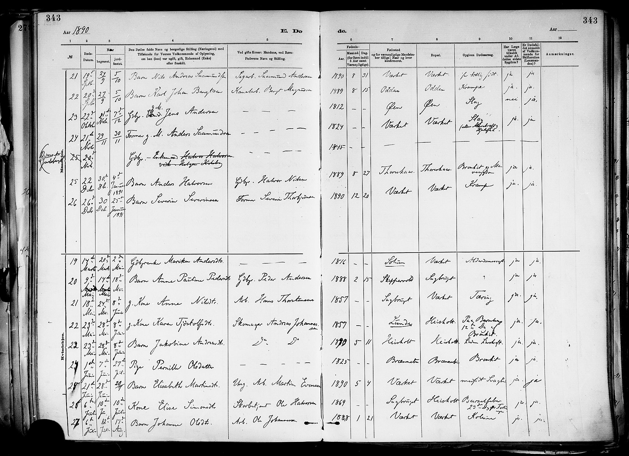 Holla kirkebøker, AV/SAKO-A-272/F/Fa/L0008: Ministerialbok nr. 8, 1882-1897, s. 343