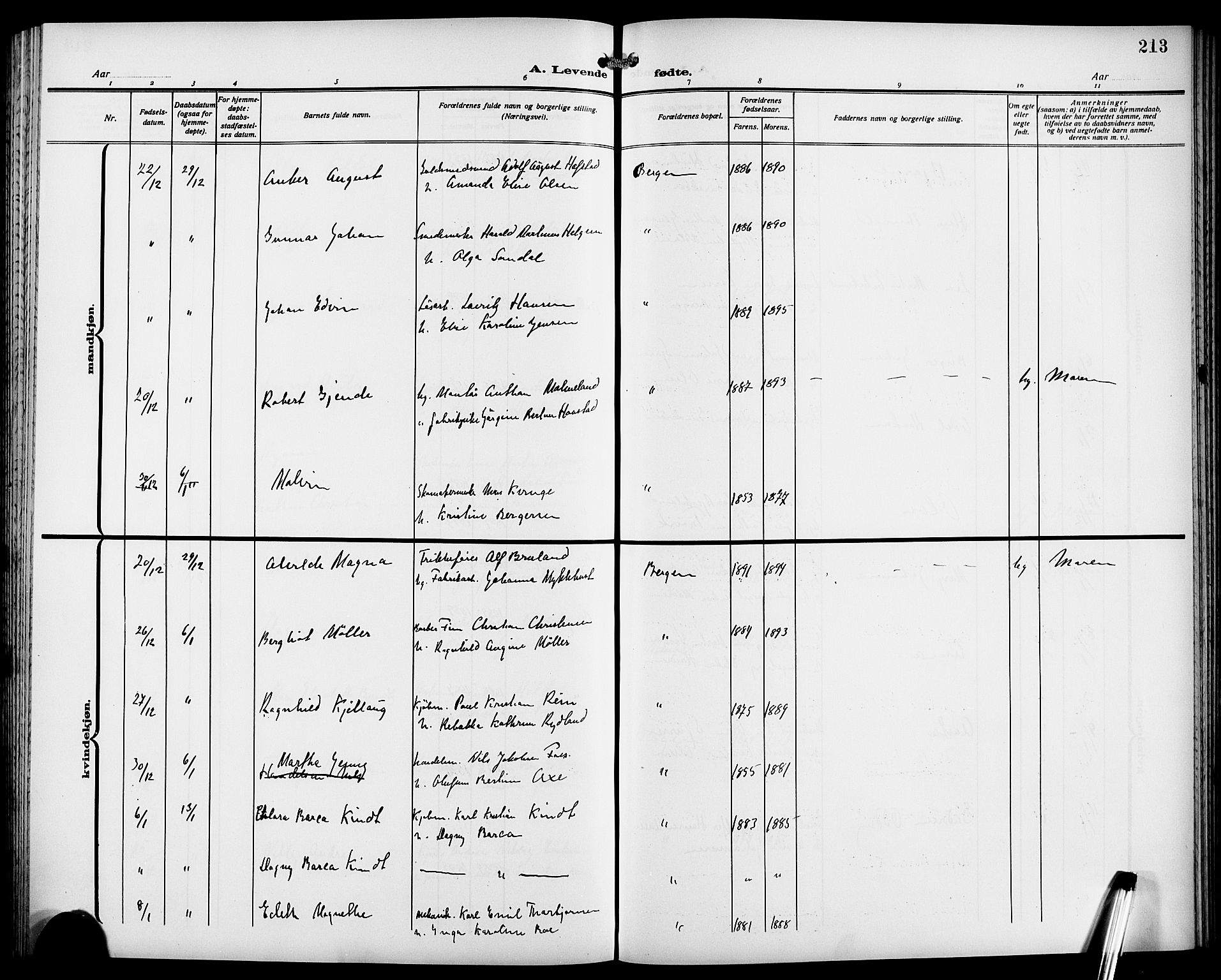 Fødselsstiftelsens sokneprestembete*, SAB/-: Klokkerbok nr. A 2, 1909-1916, s. 213