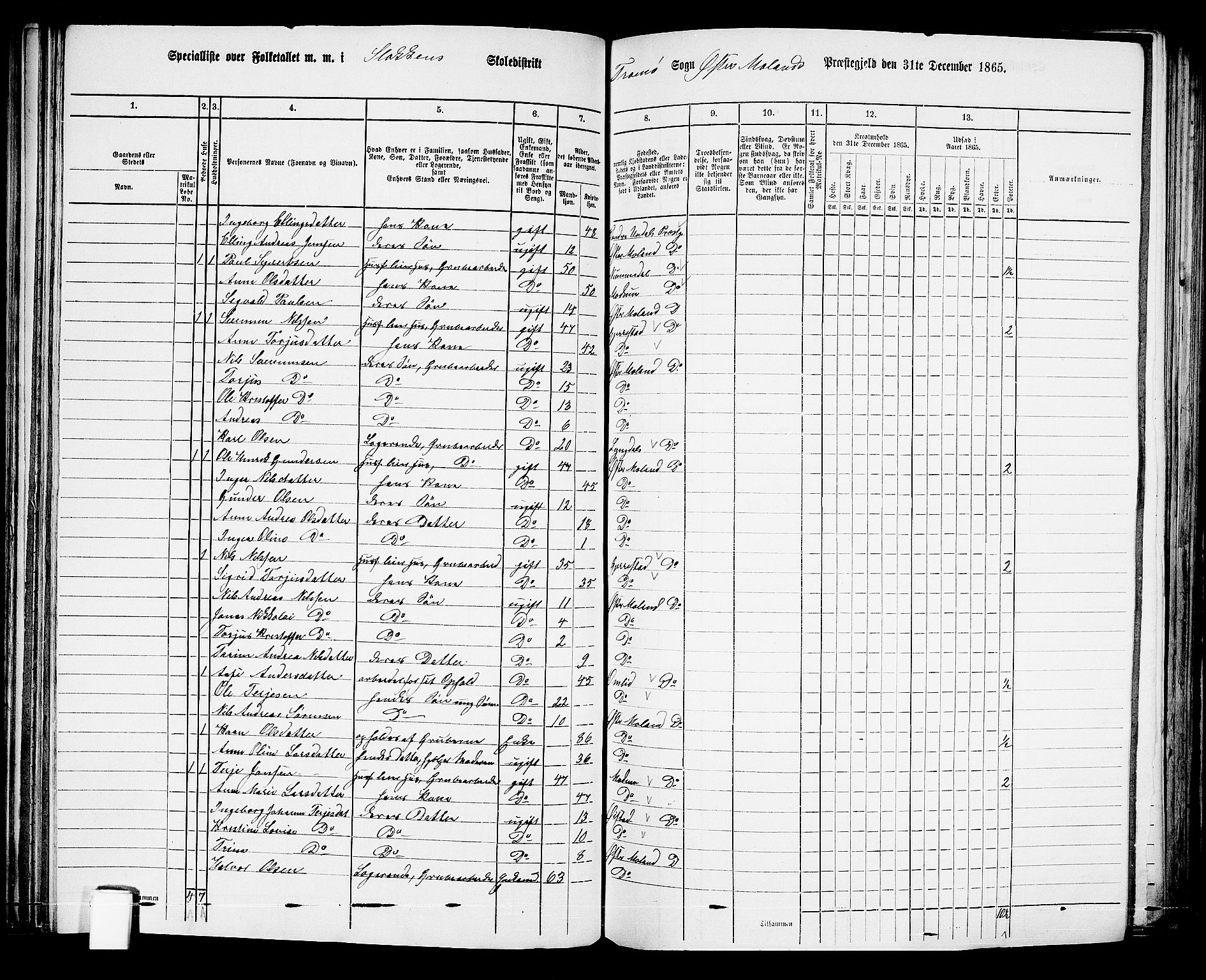 RA, Folketelling 1865 for 0918P Austre Moland prestegjeld, 1865, s. 124