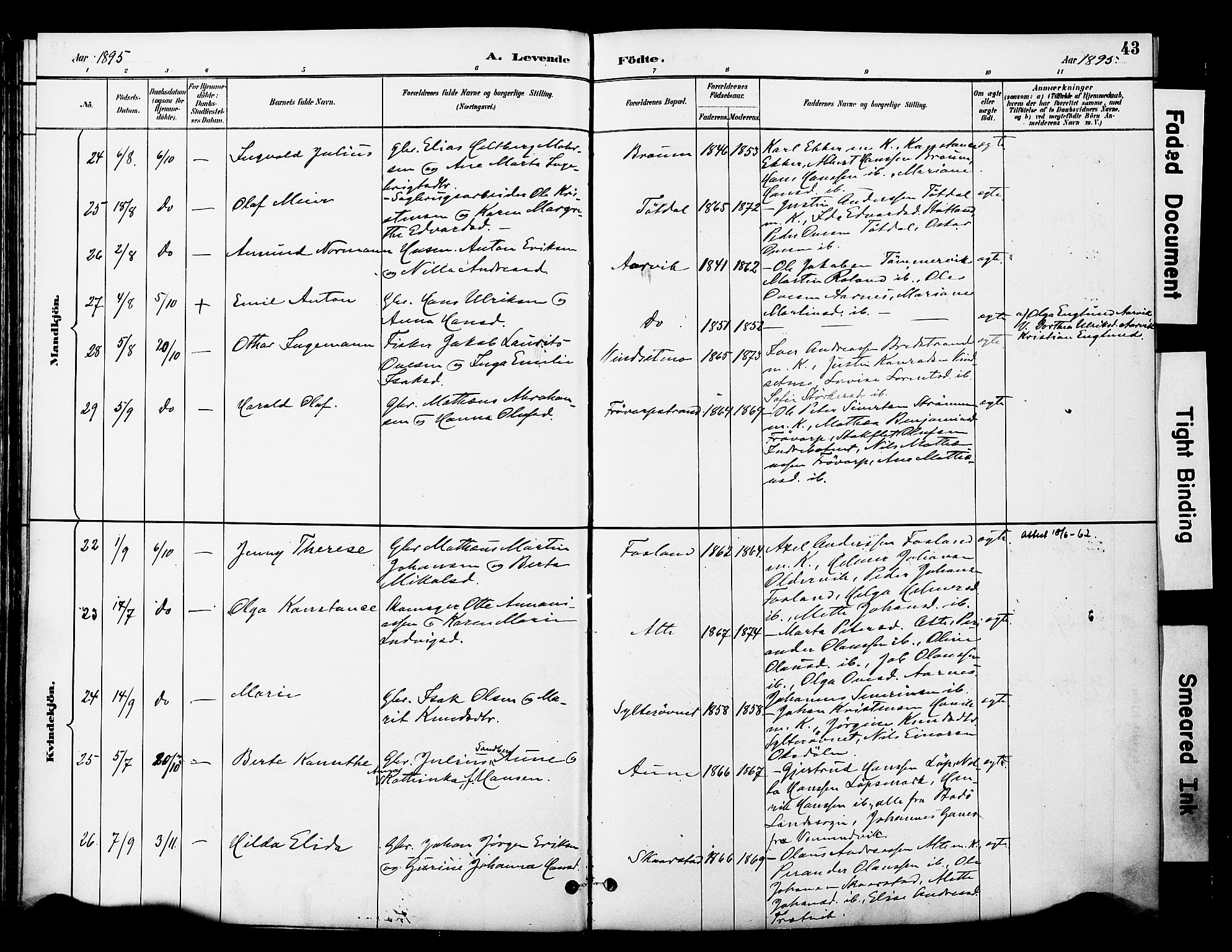 Ministerialprotokoller, klokkerbøker og fødselsregistre - Nord-Trøndelag, SAT/A-1458/774/L0628: Ministerialbok nr. 774A02, 1887-1903, s. 43