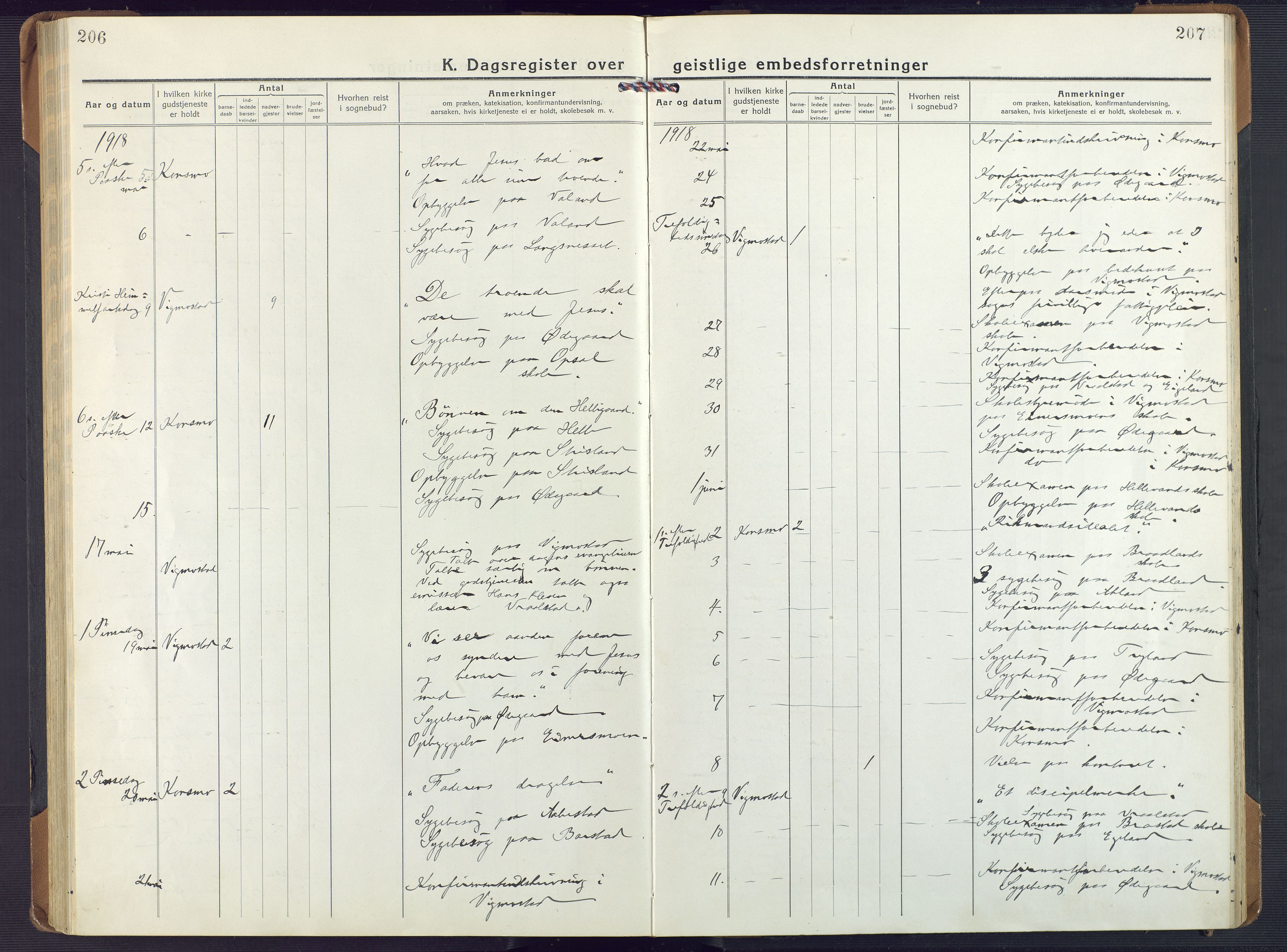 Nord-Audnedal sokneprestkontor, AV/SAK-1111-0032/F/Fa/Fab/L0005: Ministerialbok nr. A 5, 1918-1925, s. 206-207