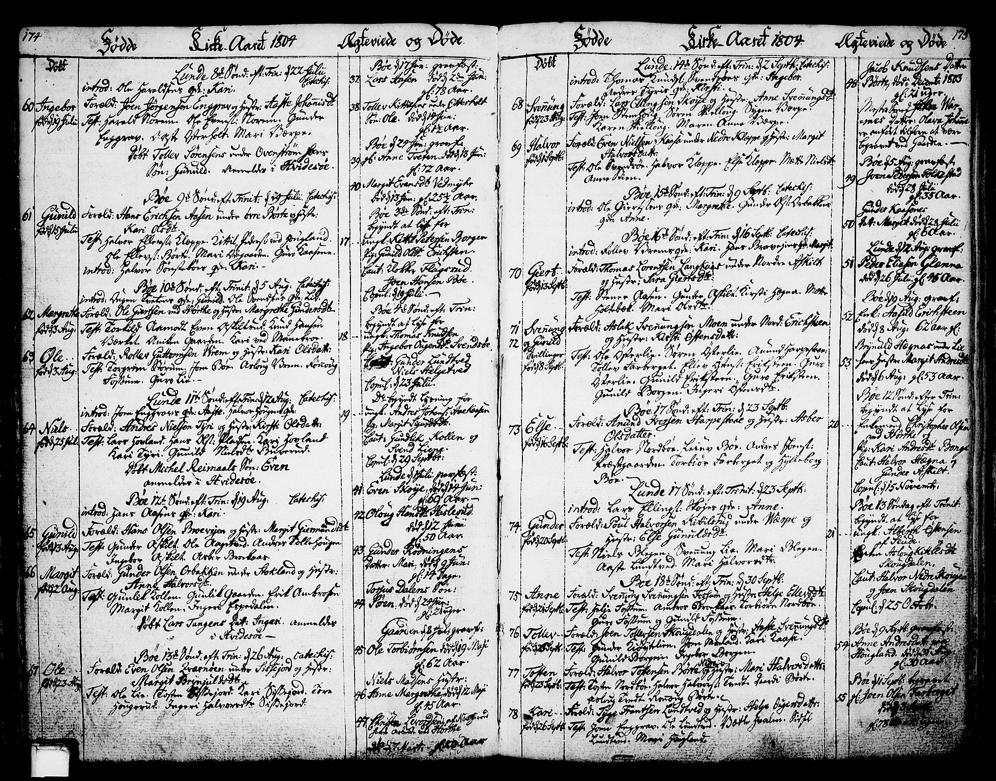Bø kirkebøker, AV/SAKO-A-257/F/Fa/L0005: Ministerialbok nr. 5, 1785-1815, s. 174-175