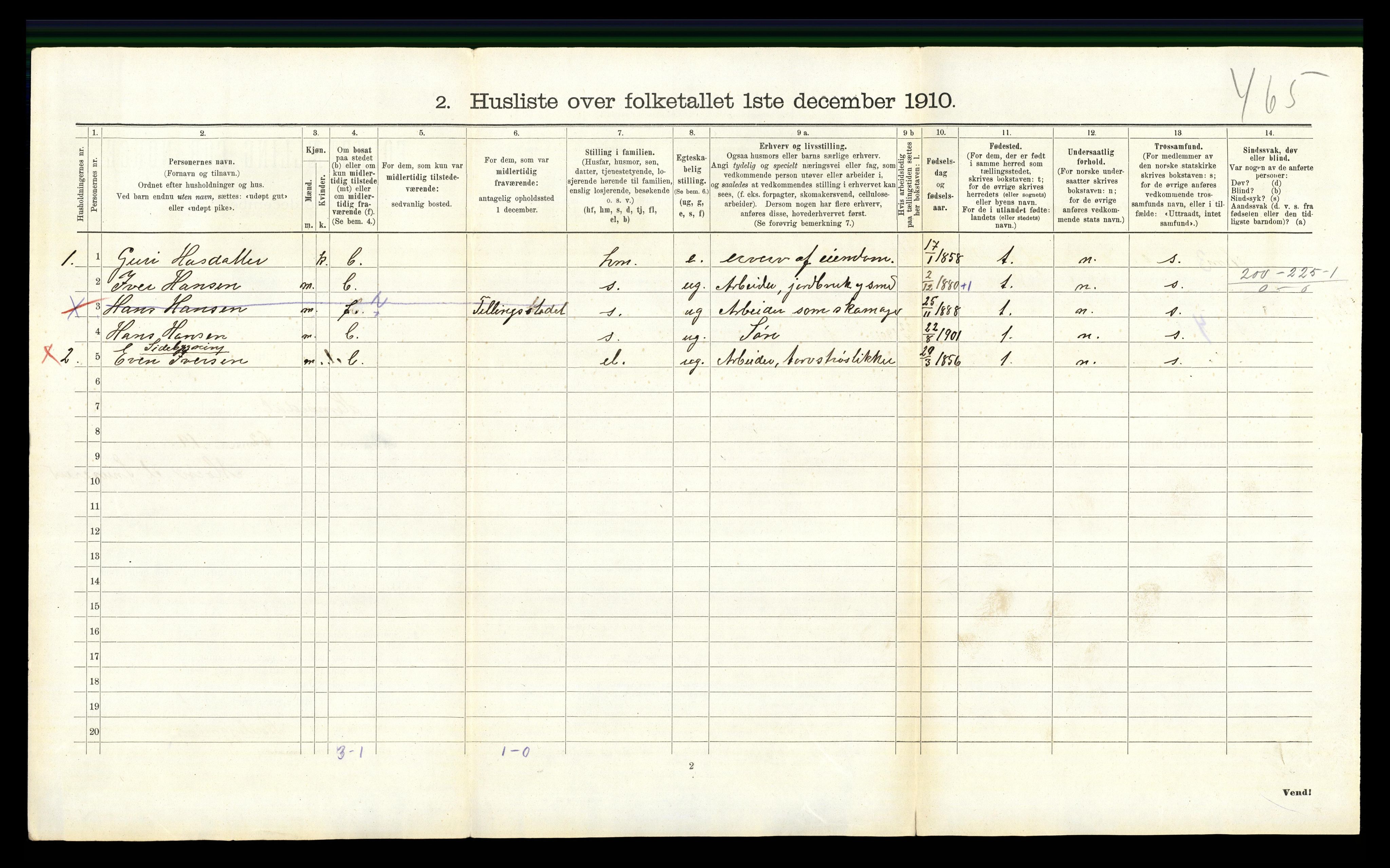 RA, Folketelling 1910 for 0618 Hemsedal herred, 1910, s. 205