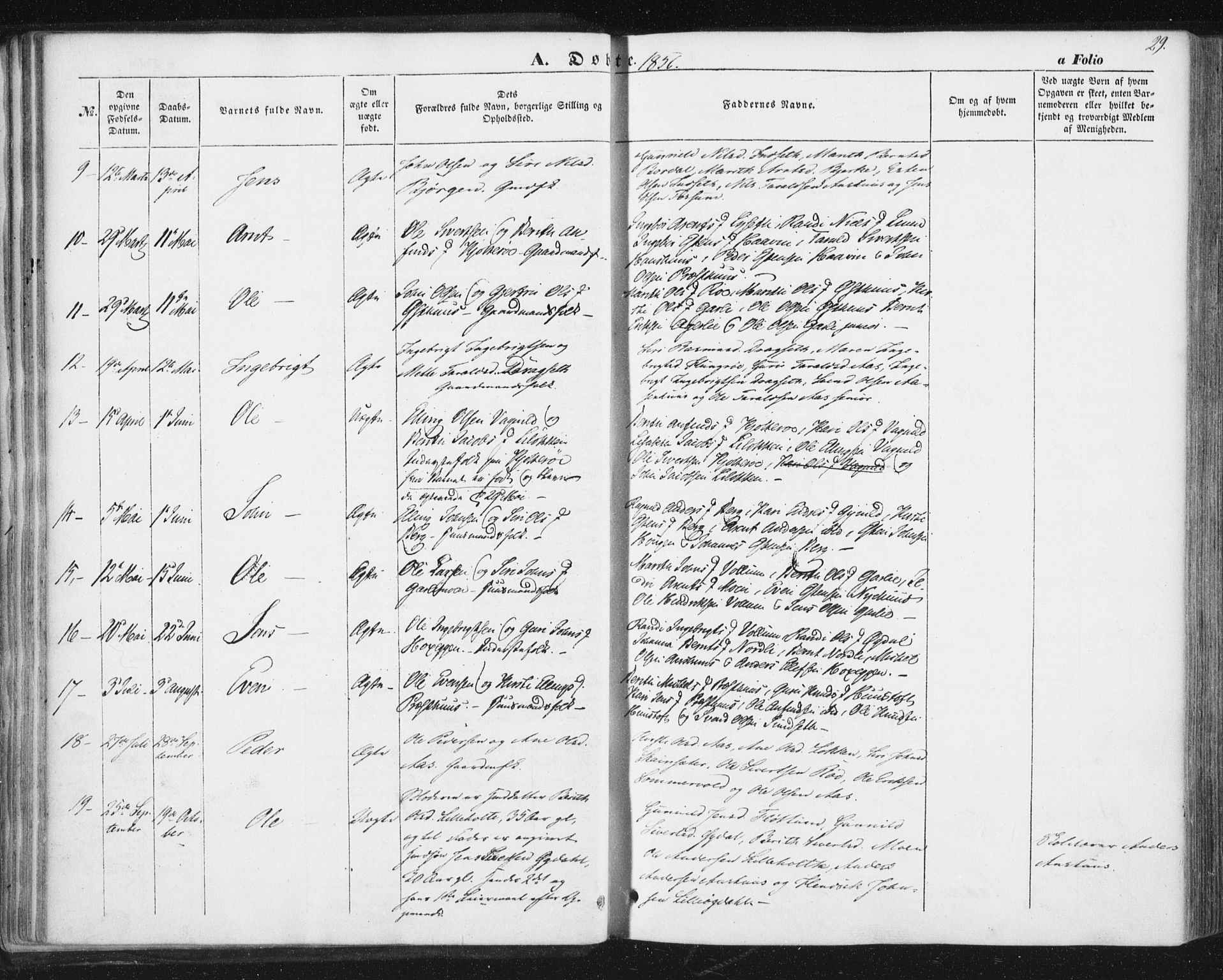 Ministerialprotokoller, klokkerbøker og fødselsregistre - Sør-Trøndelag, AV/SAT-A-1456/689/L1038: Ministerialbok nr. 689A03, 1848-1872, s. 29