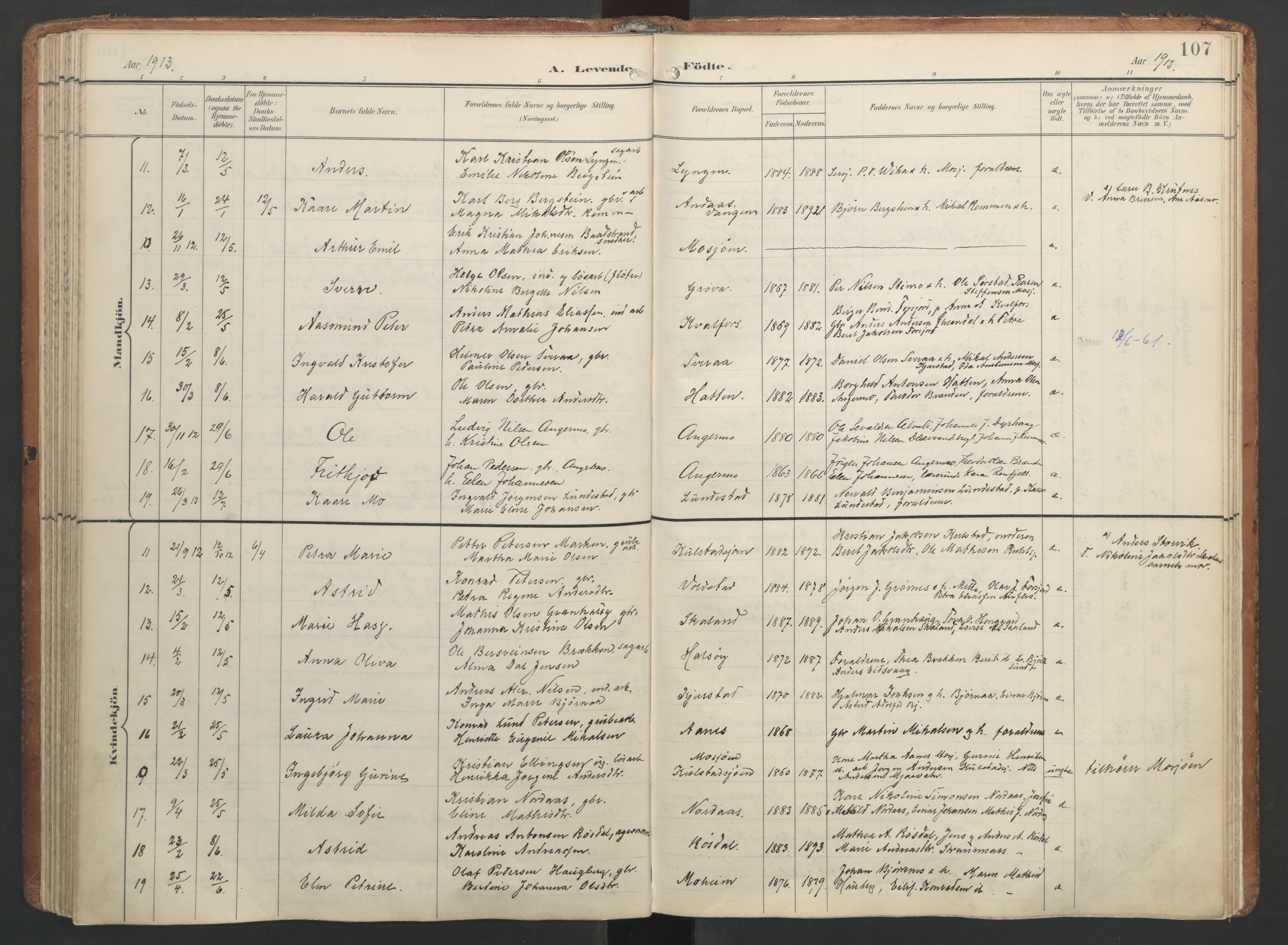 Ministerialprotokoller, klokkerbøker og fødselsregistre - Nordland, AV/SAT-A-1459/820/L0297: Ministerialbok nr. 820A18, 1897-1917, s. 107