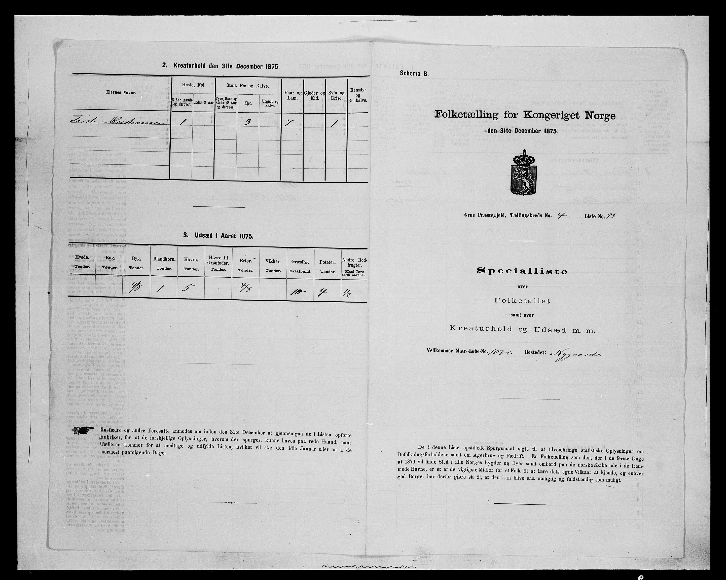 SAH, Folketelling 1875 for 0423P Grue prestegjeld, 1875, s. 899