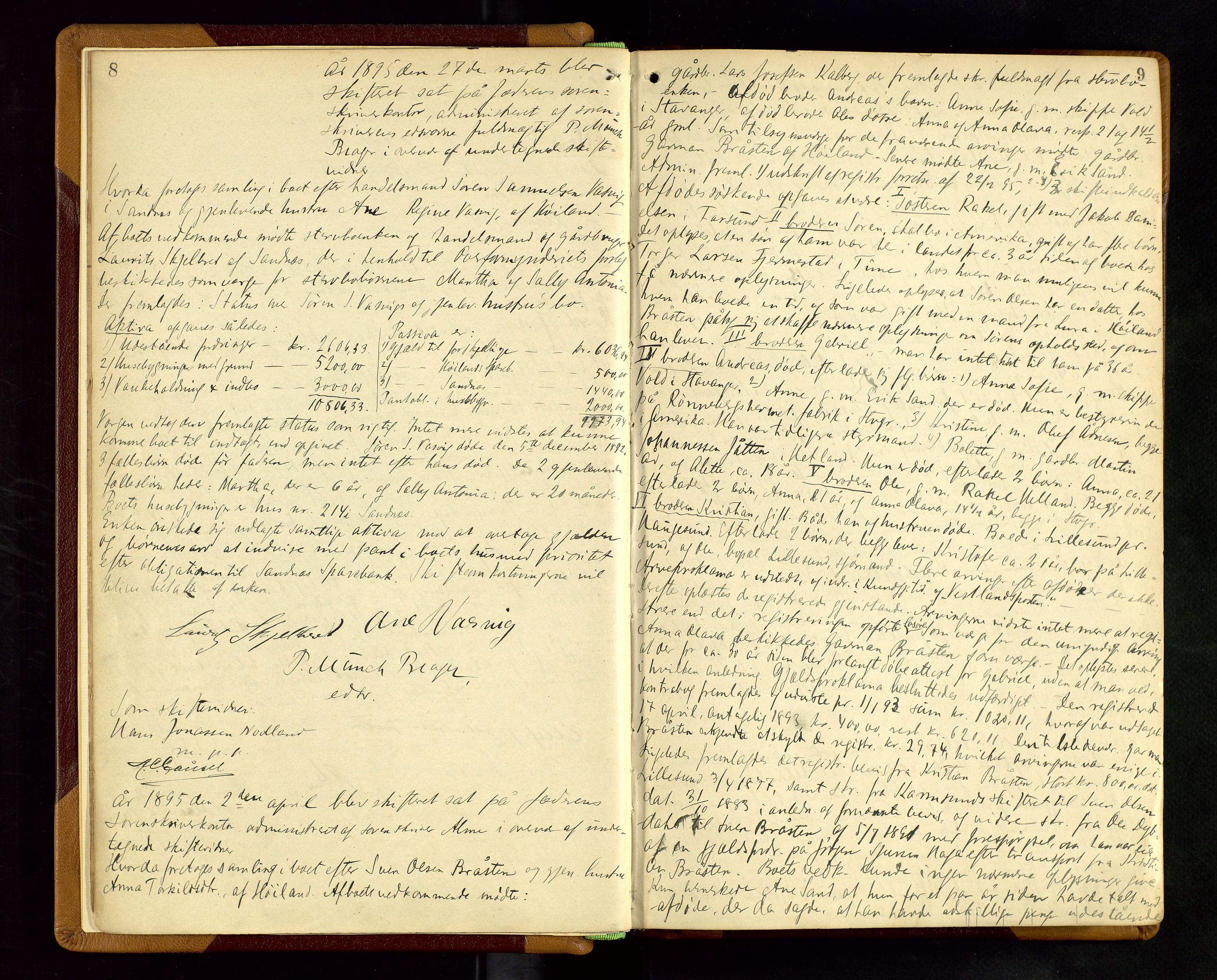 Jæren sorenskriveri, AV/SAST-A-100310/01/5/50/50BA/L0006: SKIFTEFORHANDLINGSPROTOKOLL, 1895-1903, s. 8-9