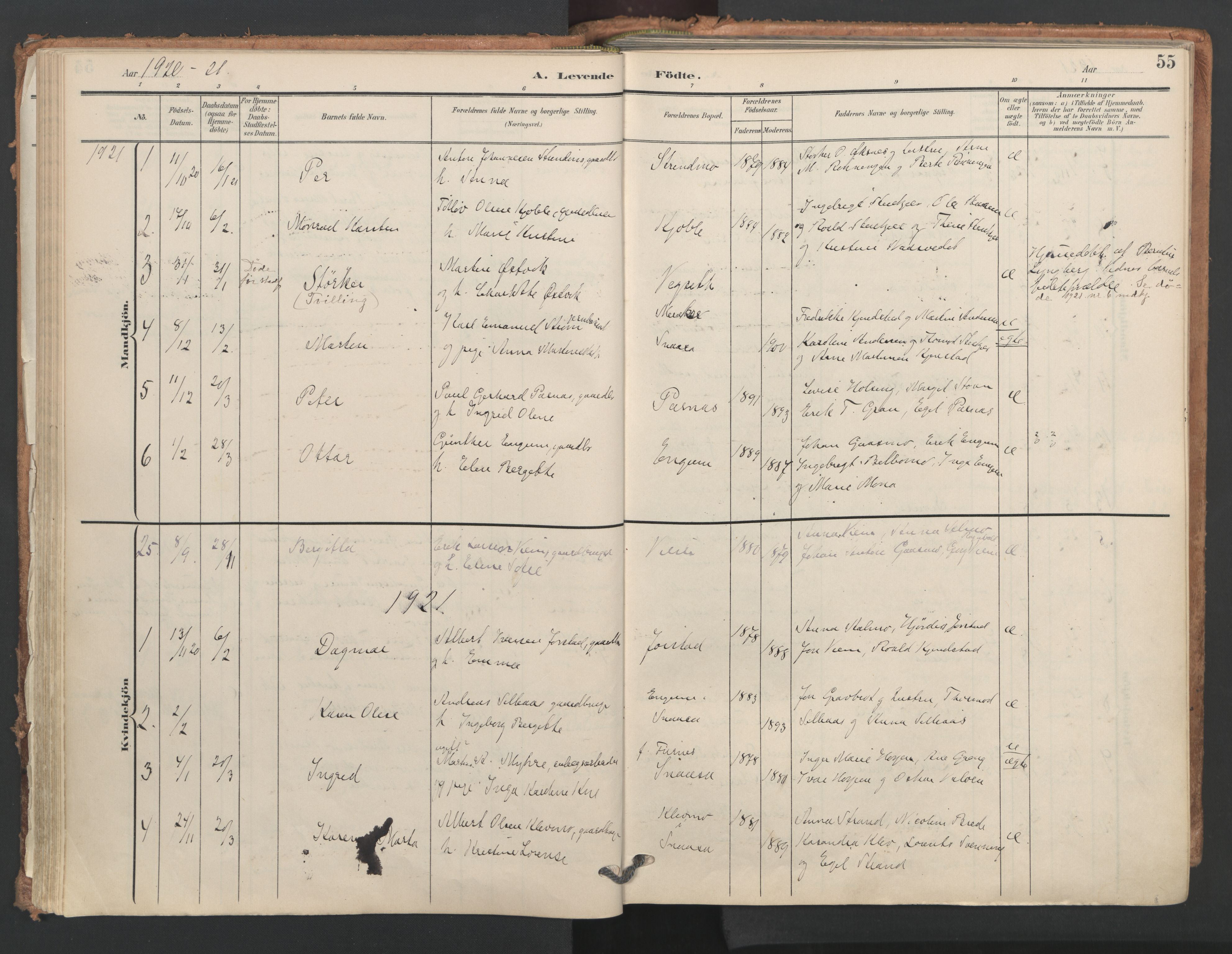 Ministerialprotokoller, klokkerbøker og fødselsregistre - Nord-Trøndelag, AV/SAT-A-1458/749/L0477: Ministerialbok nr. 749A11, 1902-1927, s. 55