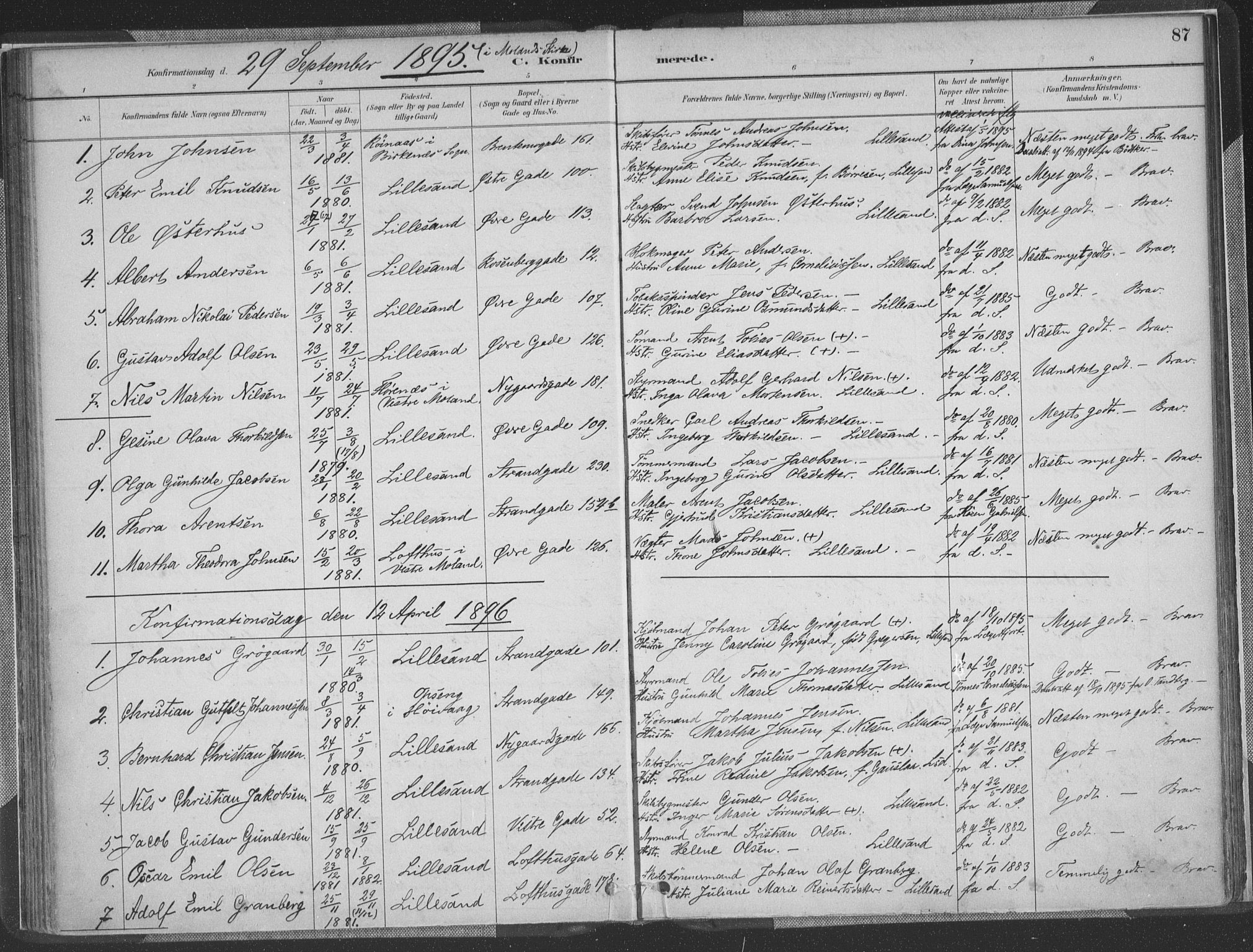 Vestre Moland sokneprestkontor, AV/SAK-1111-0046/F/Fa/Faa/L0001: Ministerialbok nr. A 1, 1884-1899, s. 87