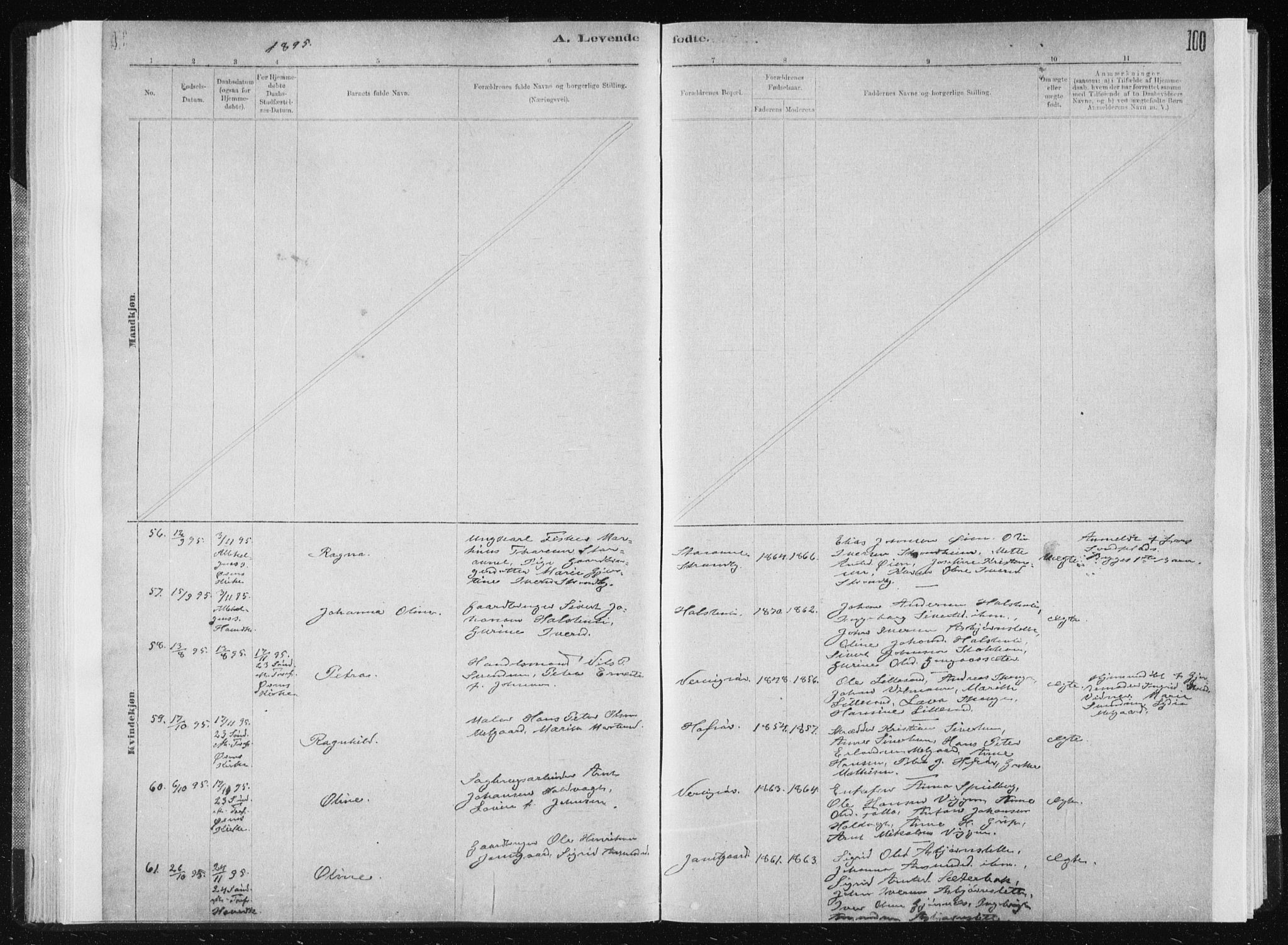 Ministerialprotokoller, klokkerbøker og fødselsregistre - Sør-Trøndelag, SAT/A-1456/668/L0818: Klokkerbok nr. 668C07, 1885-1898, s. 100