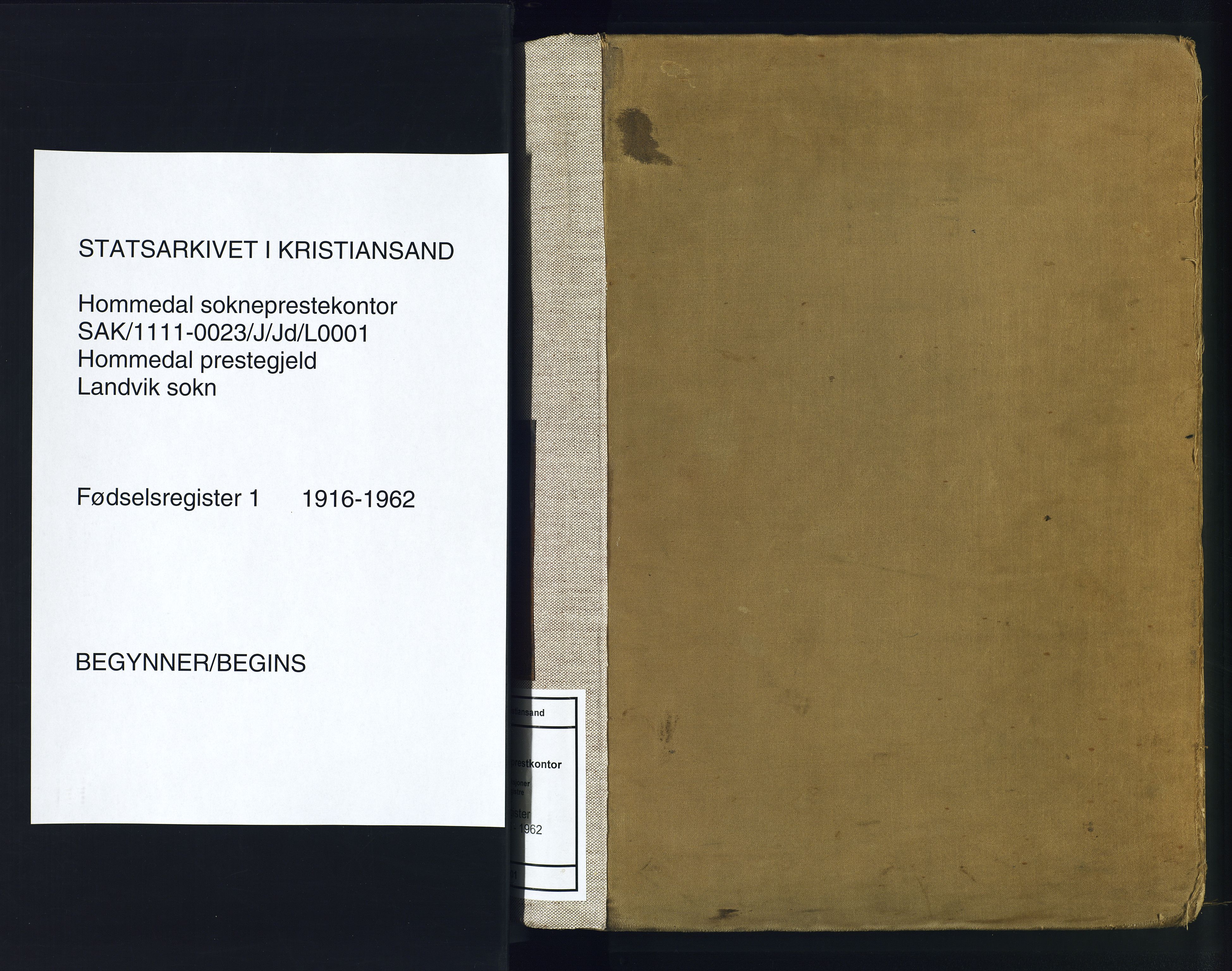 Hommedal sokneprestkontor, SAK/1111-0023/J/Jd/L0001: Fødselsregister nr. 1, 1916-1962