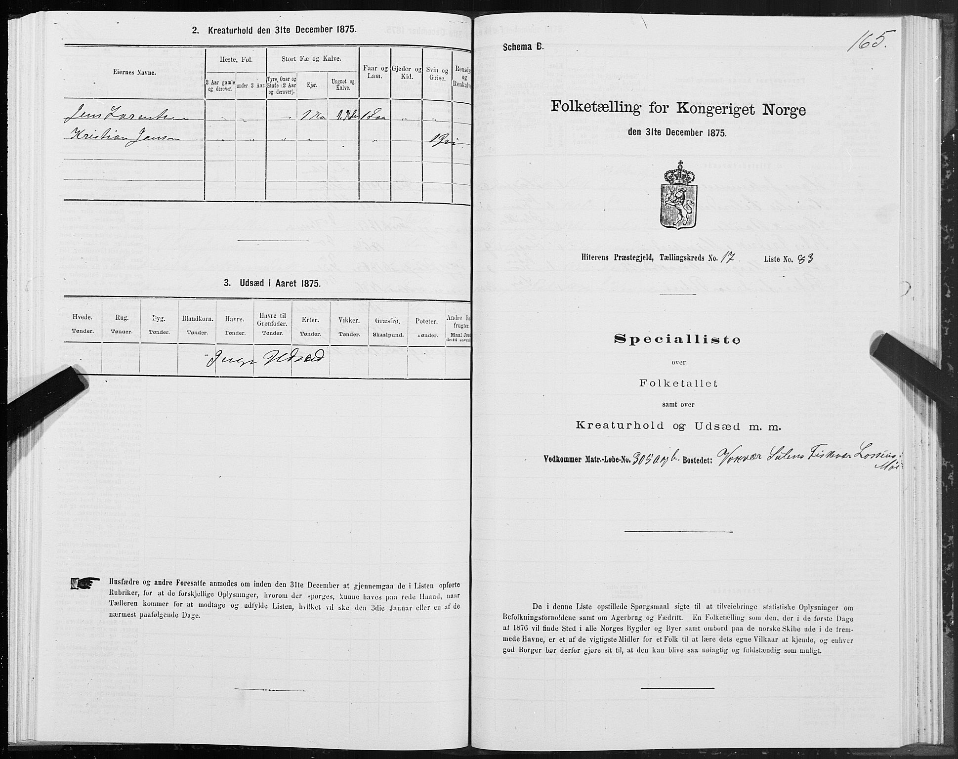 SAT, Folketelling 1875 for 1617P Hitra prestegjeld, 1875, s. 9165