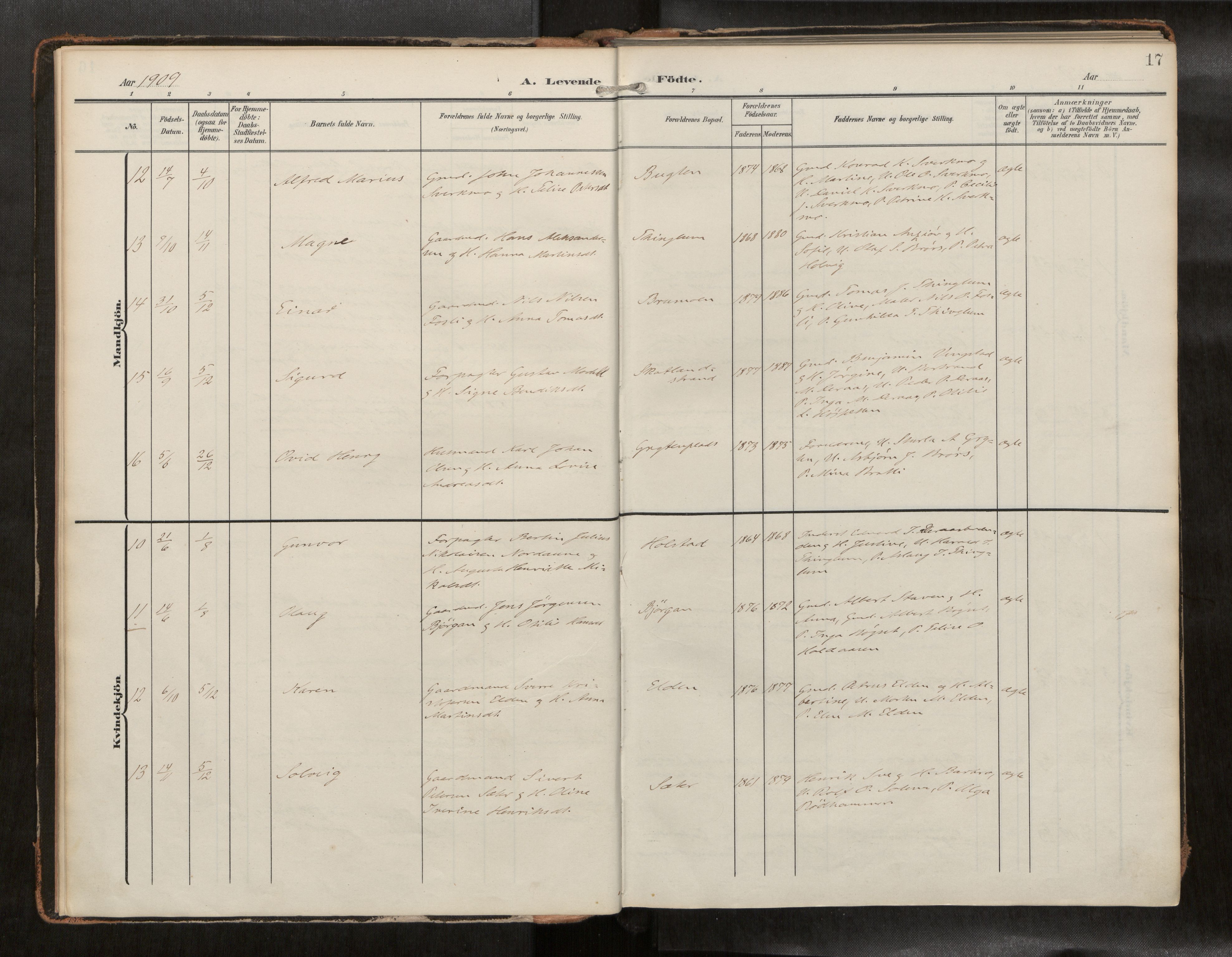 Ministerialprotokoller, klokkerbøker og fødselsregistre - Nord-Trøndelag, AV/SAT-A-1458/742/L0409a: Ministerialbok nr. 742A03, 1906-1924, s. 17