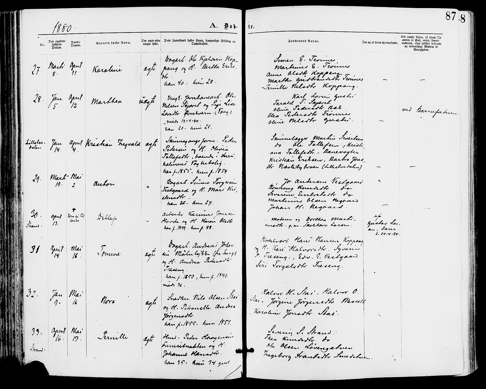 Stor-Elvdal prestekontor, AV/SAH-PREST-052/H/Ha/Haa/L0001: Ministerialbok nr. 1, 1871-1882, s. 87
