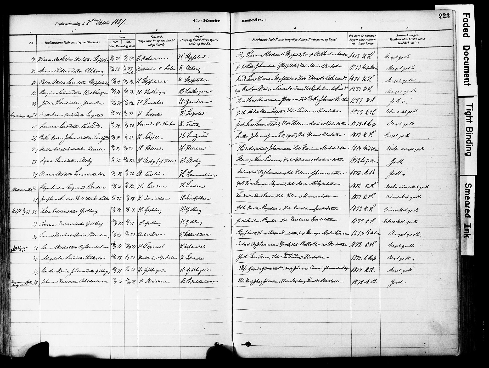 Østre Toten prestekontor, AV/SAH-PREST-104/H/Ha/Haa/L0006: Ministerialbok nr. 6 /1, 1878-1896, s. 223