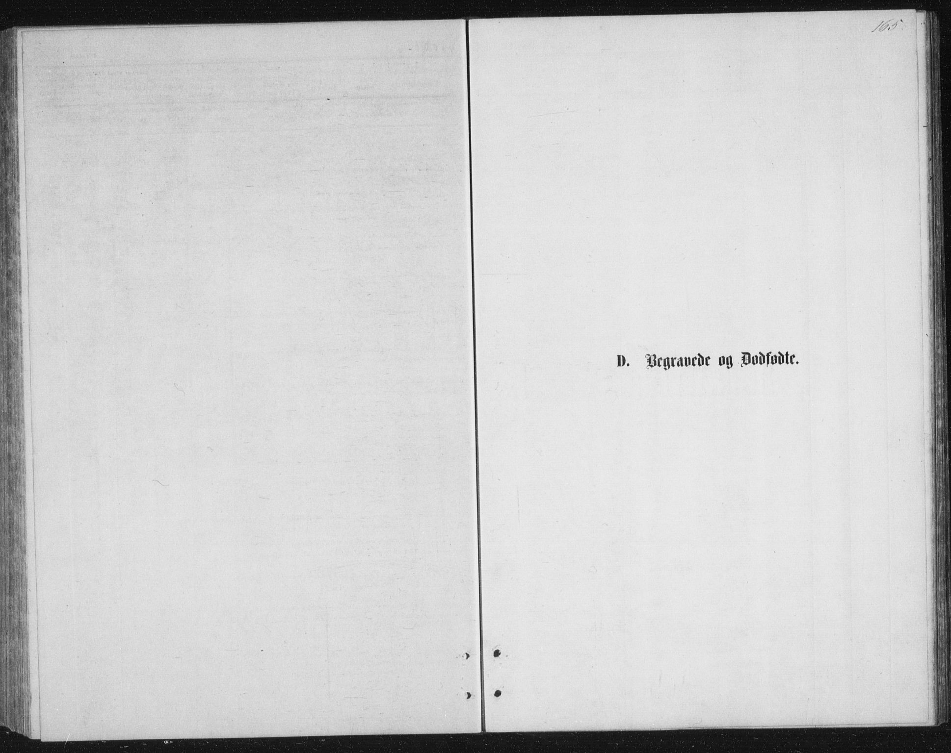 Tranøy sokneprestkontor, AV/SATØ-S-1313/I/Ia/Iab/L0013klokker: Klokkerbok nr. 13, 1874-1896, s. 165