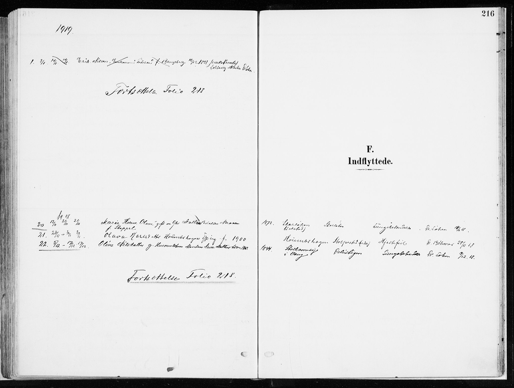 Ringsaker prestekontor, SAH/PREST-014/K/Ka/L0019: Ministerialbok nr. 19, 1905-1920, s. 216