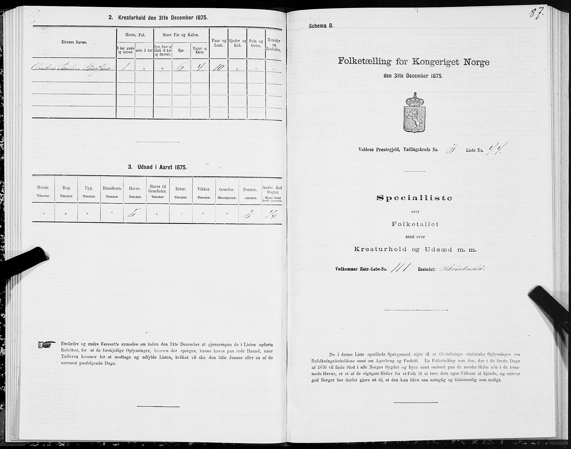 SAT, Folketelling 1875 for 1519P Volda prestegjeld, 1875, s. 3087