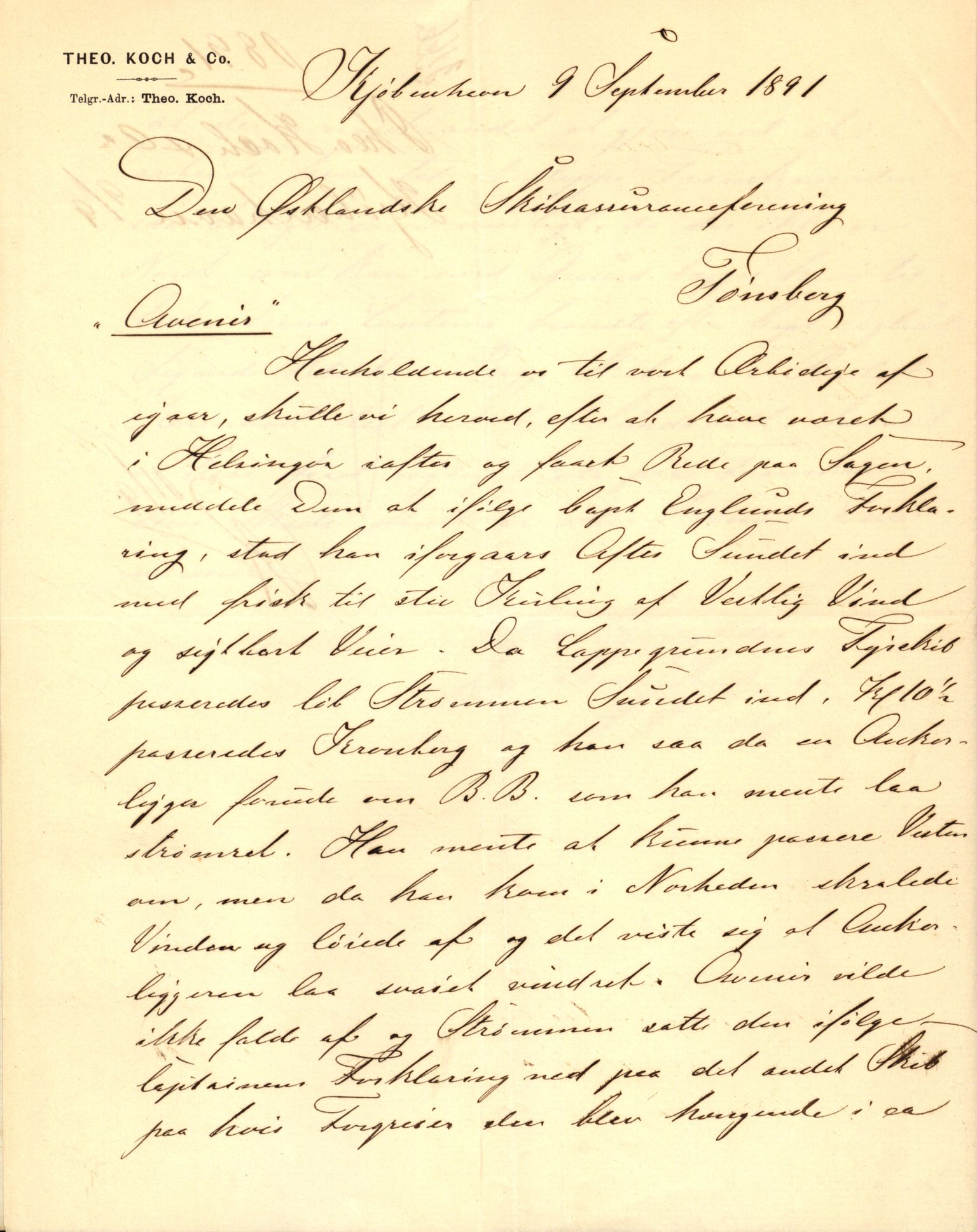 Pa 63 - Østlandske skibsassuranceforening, VEMU/A-1079/G/Ga/L0027/0004: Havaridokumenter / Avenir, Bertha, Augusta, Arctic, Black Hawk, 1891, s. 10