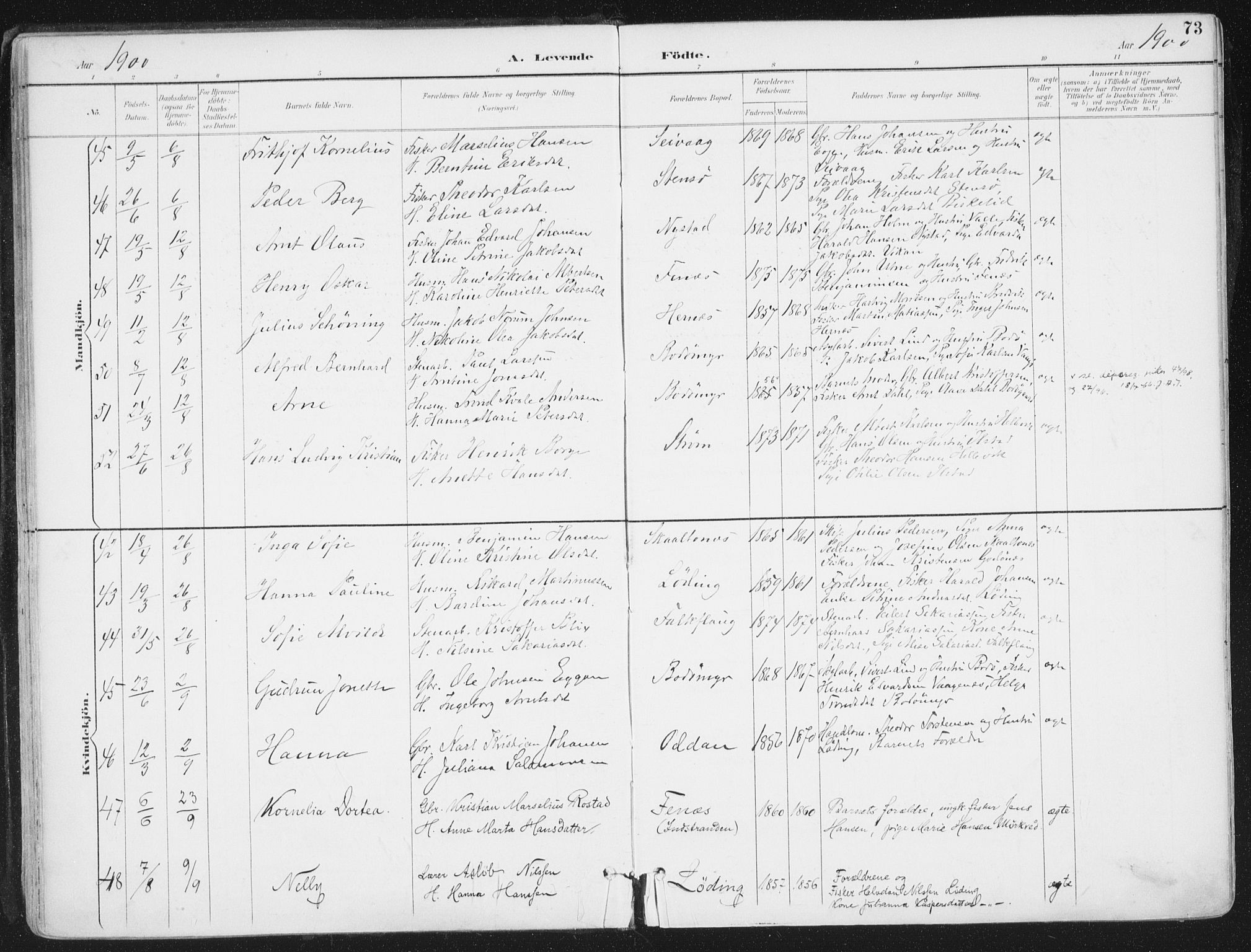 Ministerialprotokoller, klokkerbøker og fødselsregistre - Nordland, AV/SAT-A-1459/802/L0055: Ministerialbok nr. 802A02, 1894-1915, s. 73