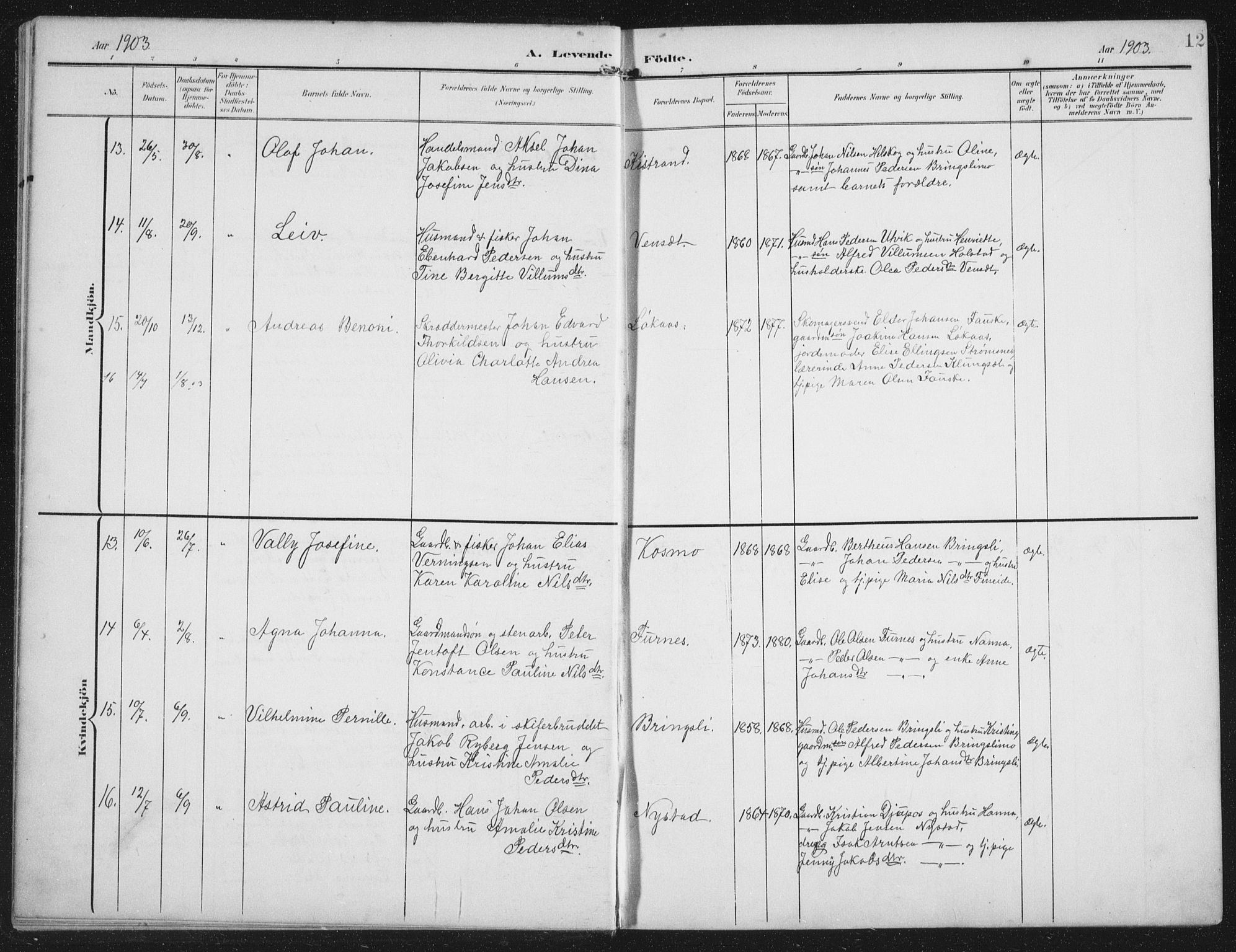 Ministerialprotokoller, klokkerbøker og fødselsregistre - Nordland, AV/SAT-A-1459/851/L0726: Klokkerbok nr. 851C01, 1902-1924, s. 12