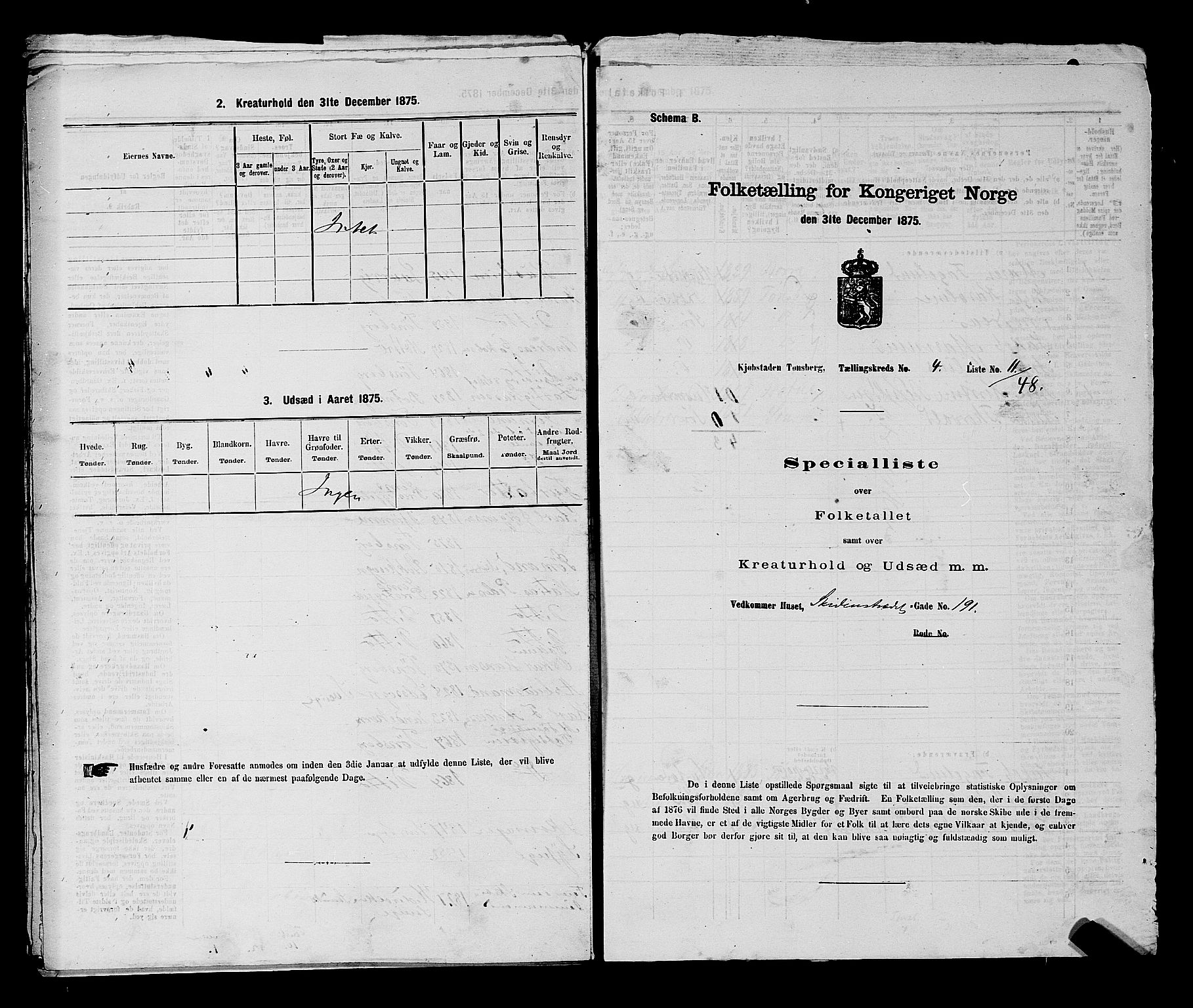 SAKO, Folketelling 1875 for 0705P Tønsberg prestegjeld, 1875, s. 133