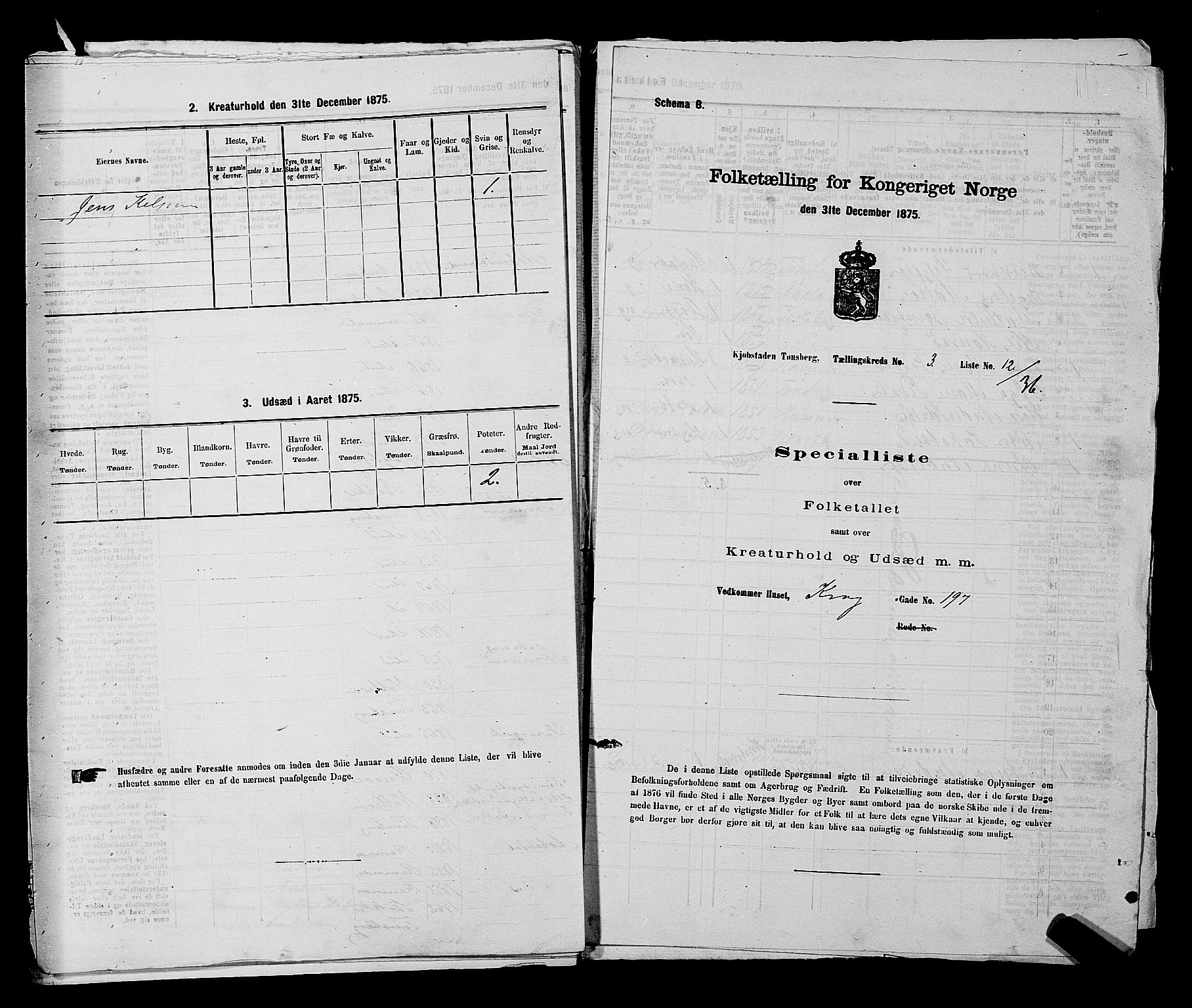 SAKO, Folketelling 1875 for 0705P Tønsberg prestegjeld, 1875, s. 107