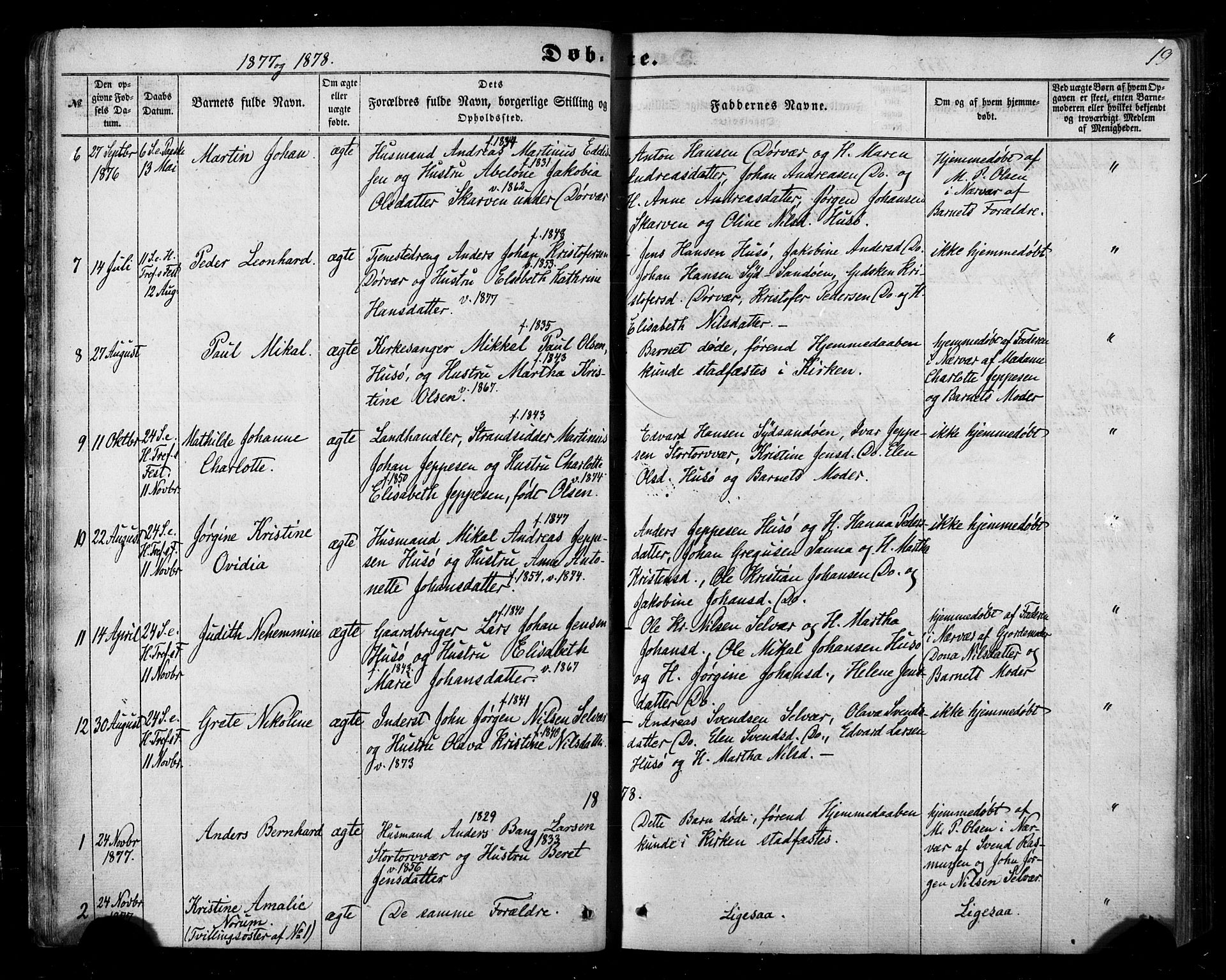 Ministerialprotokoller, klokkerbøker og fødselsregistre - Nordland, AV/SAT-A-1459/840/L0579: Ministerialbok nr. 840A01, 1863-1887, s. 19