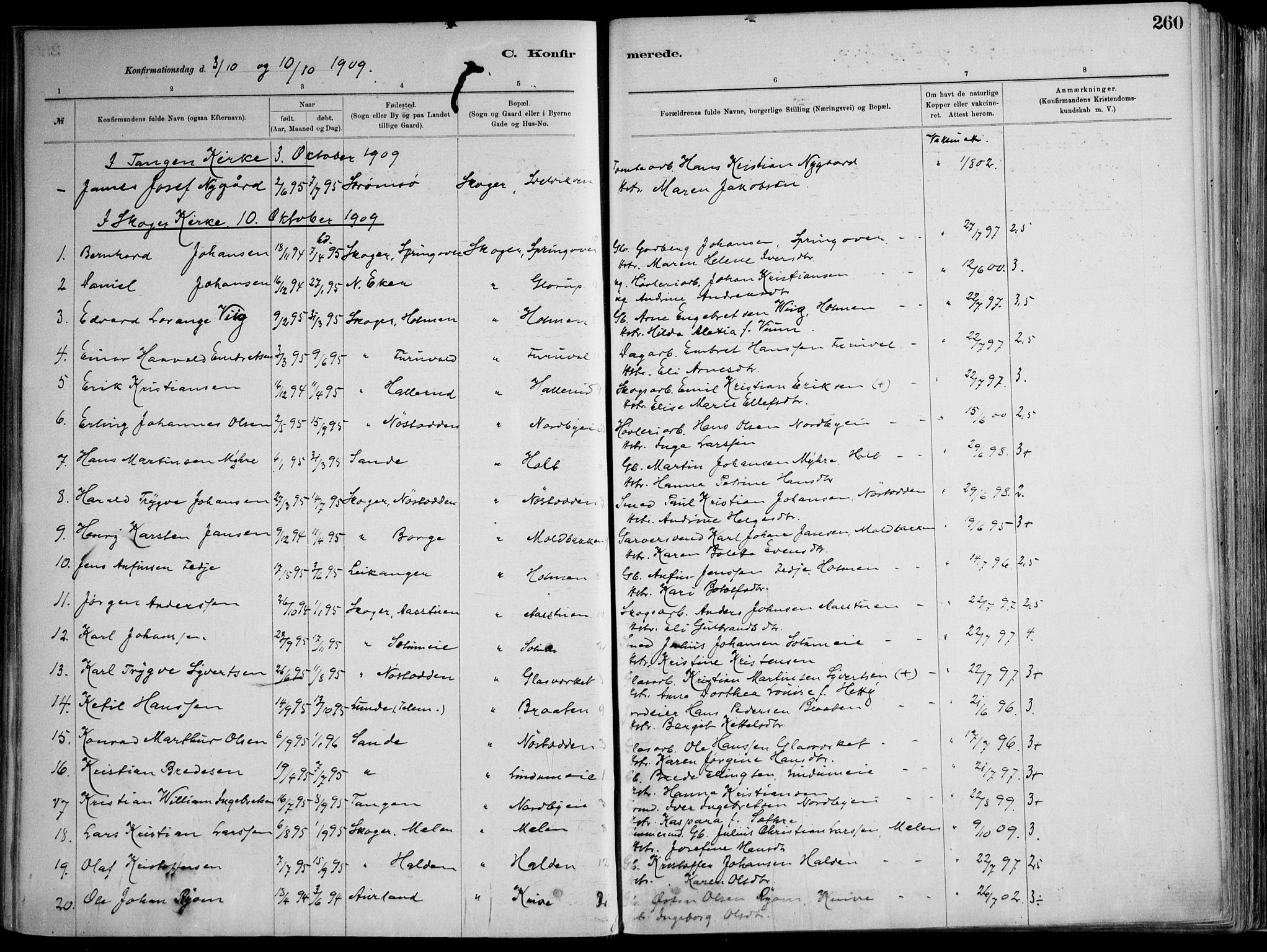 Skoger kirkebøker, AV/SAKO-A-59/F/Fa/L0006: Ministerialbok nr. I 6, 1885-1910, s. 260