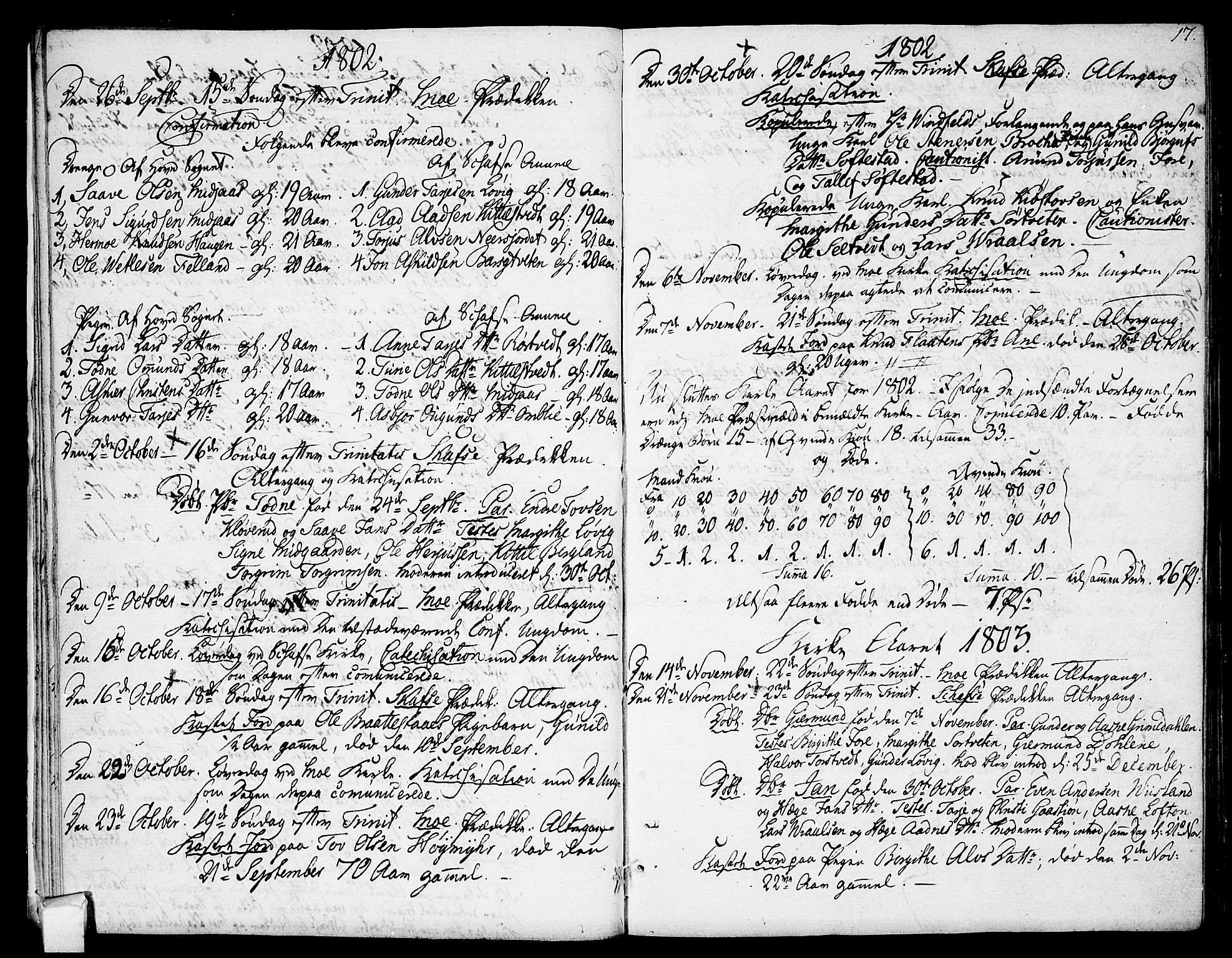 Mo kirkebøker, AV/SAKO-A-286/F/Fa/L0003: Ministerialbok nr. I 3, 1800-1814, s. 17