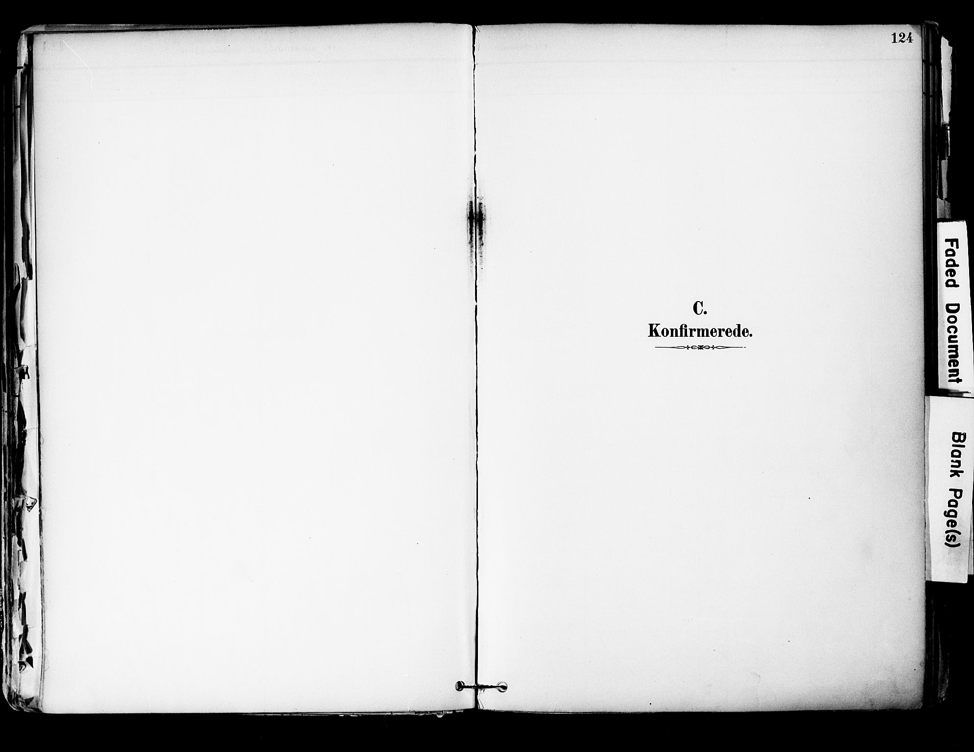 Hurum kirkebøker, AV/SAKO-A-229/F/Fa/L0014: Ministerialbok nr. 14, 1882-1895, s. 124