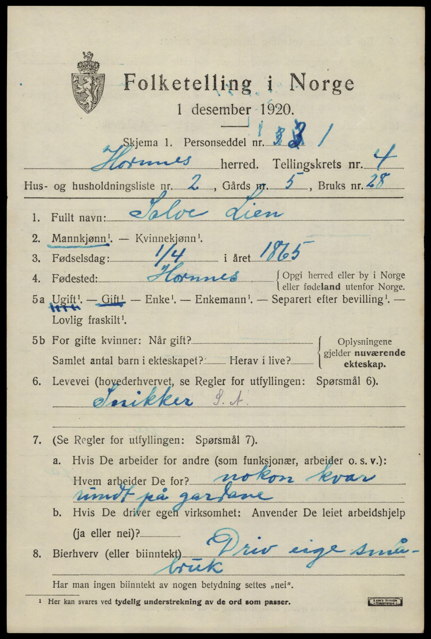 SAK, Folketelling 1920 for 0936 Hornnes herred, 1920, s. 1141