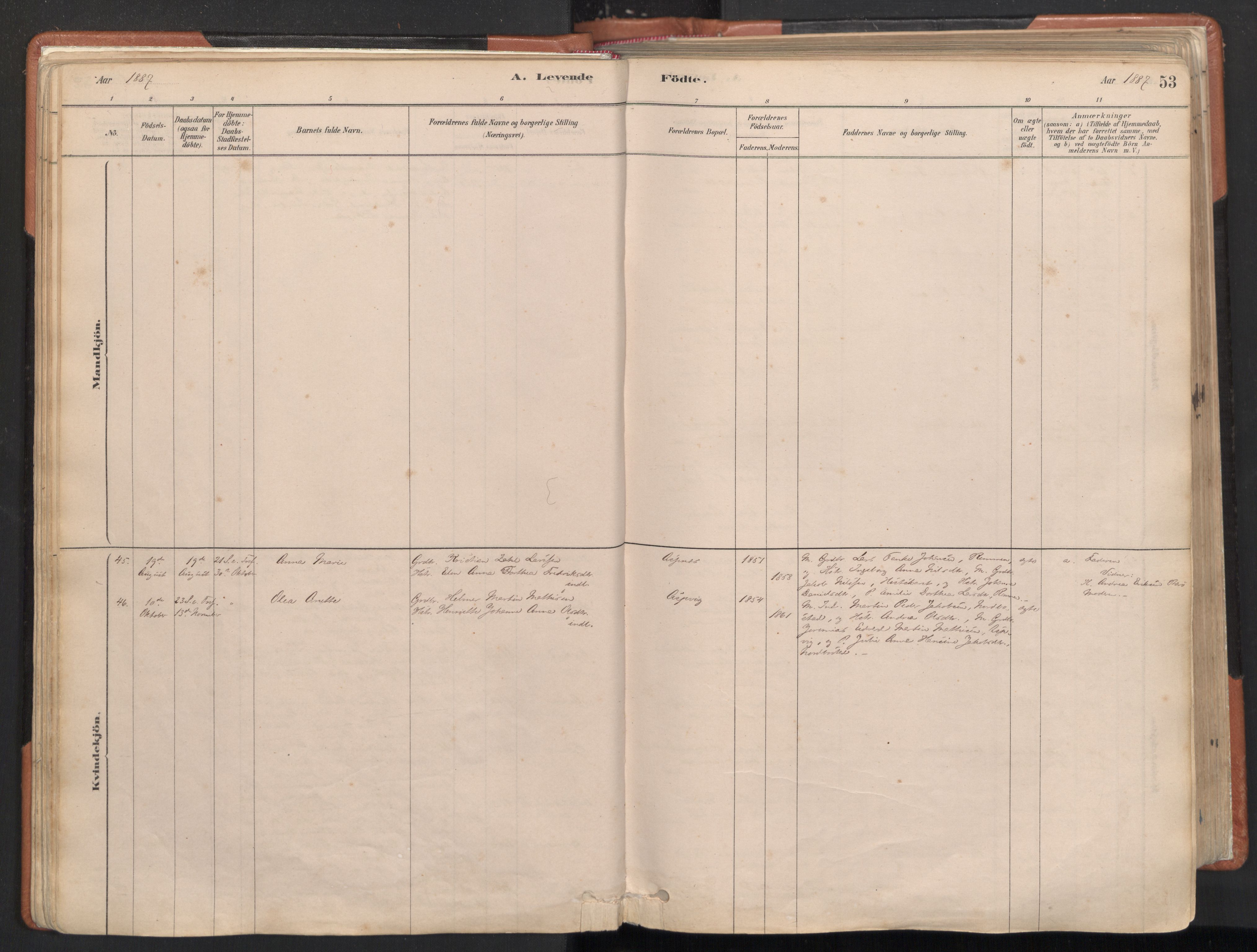 Ministerialprotokoller, klokkerbøker og fødselsregistre - Nordland, AV/SAT-A-1459/817/L0264: Ministerialbok nr. 817A04, 1878-1907, s. 53