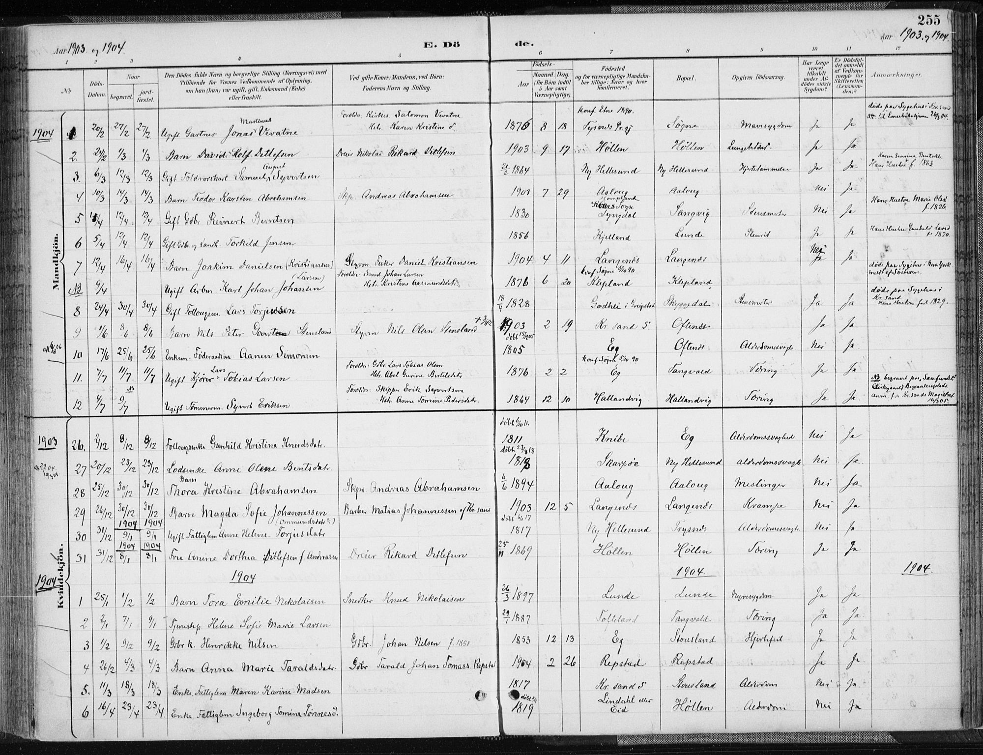 Søgne sokneprestkontor, AV/SAK-1111-0037/F/Fa/Fab/L0013: Ministerialbok nr. A 13, 1892-1911, s. 255