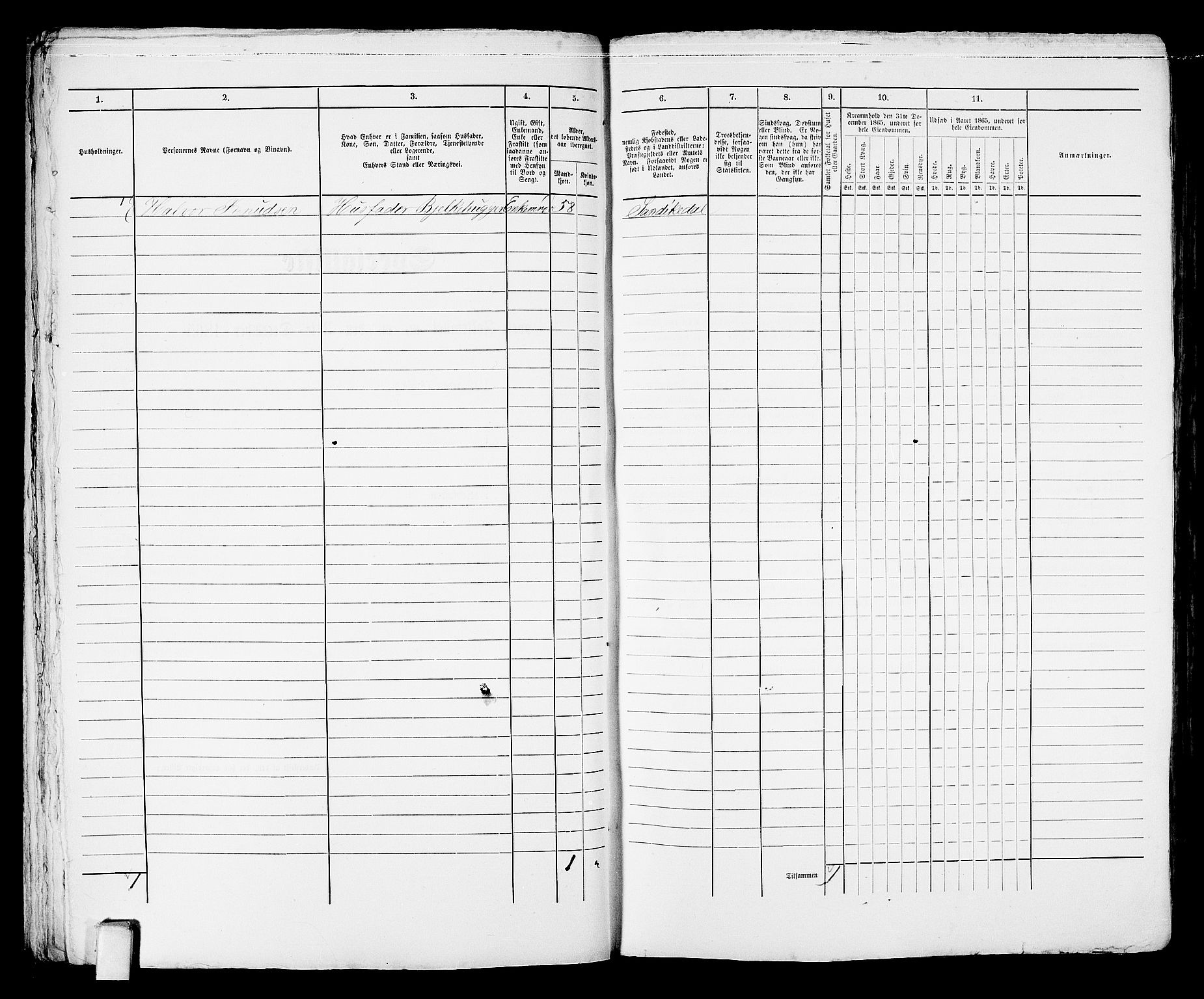 RA, Folketelling 1865 for 0801B Kragerø prestegjeld, Kragerø kjøpstad, 1865, s. 120