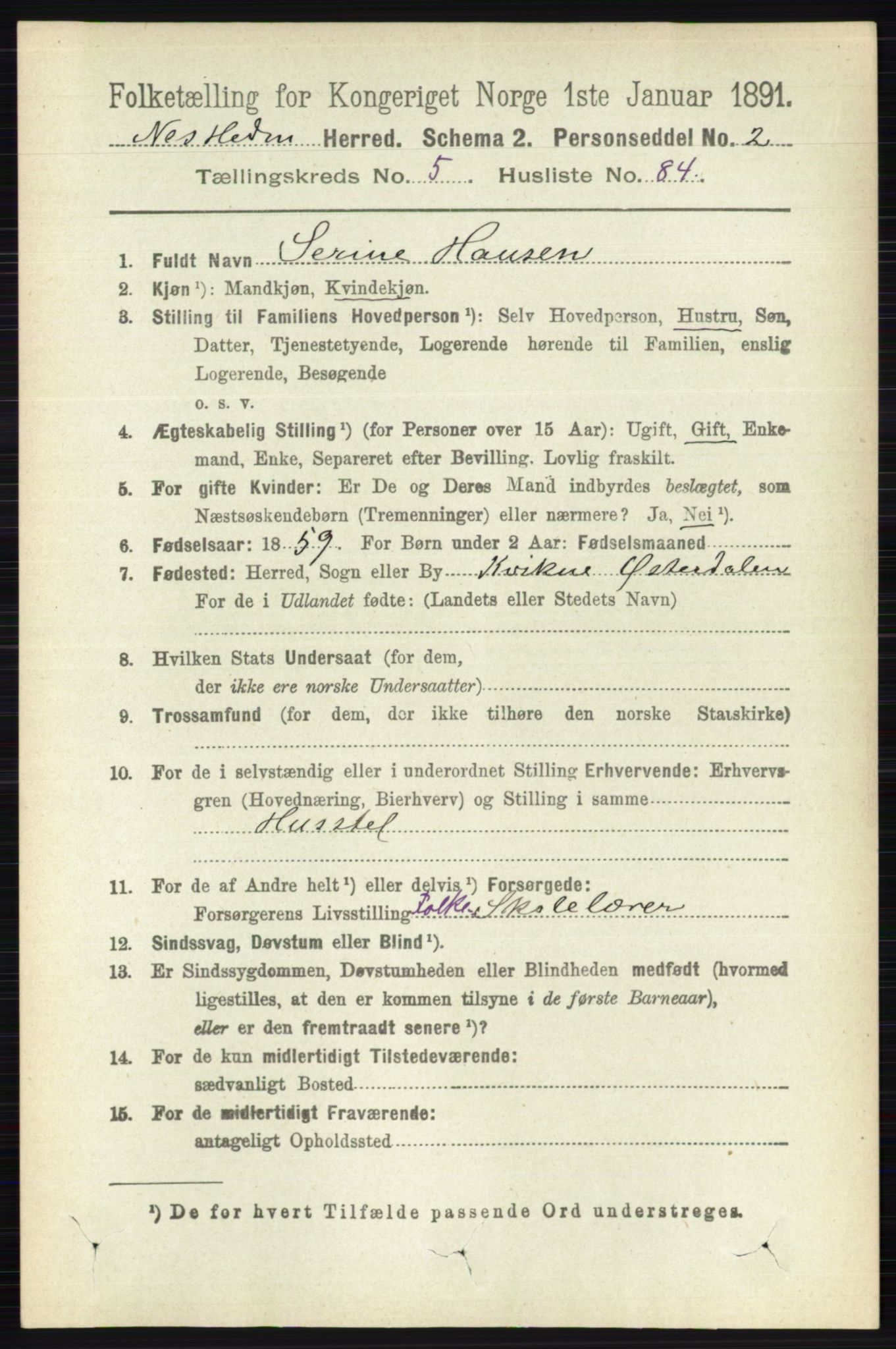 RA, Folketelling 1891 for 0411 Nes herred, 1891, s. 3151