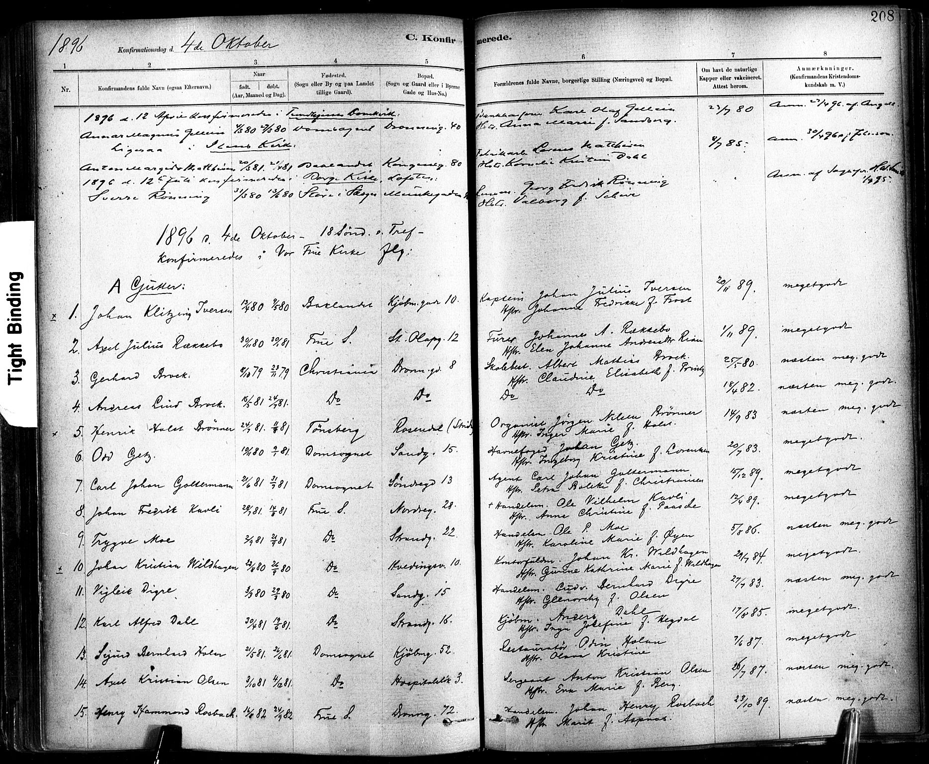 Ministerialprotokoller, klokkerbøker og fødselsregistre - Sør-Trøndelag, SAT/A-1456/602/L0119: Ministerialbok nr. 602A17, 1880-1901, s. 208