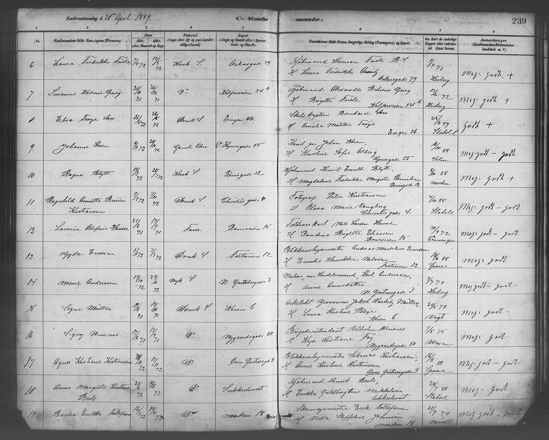 Domkirken sokneprestembete, AV/SAB-A-74801/H/Haa/L0030: Ministerialbok nr. C 5, 1880-1898, s. 239