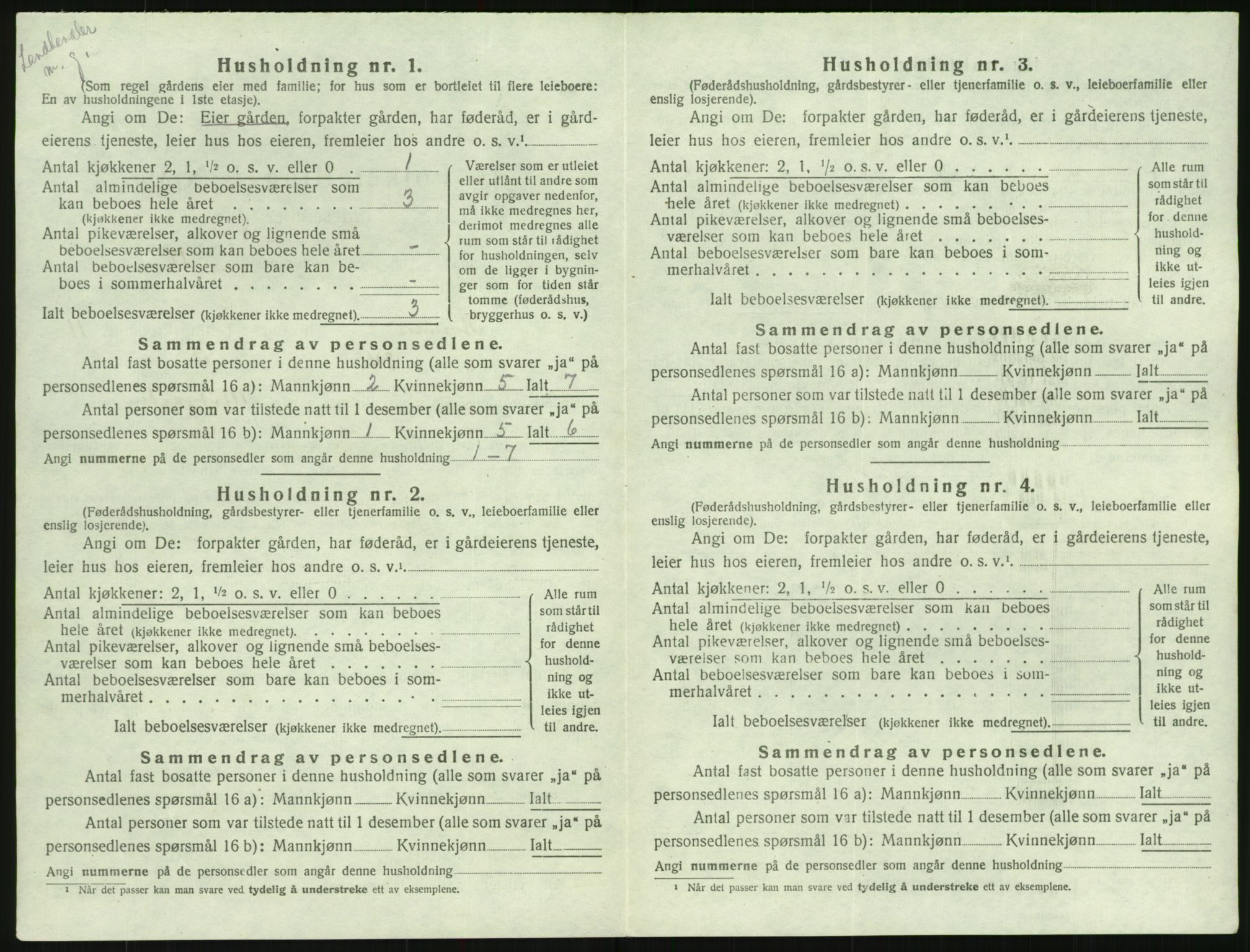 SAK, Folketelling 1920 for 0936 Hornnes herred, 1920, s. 454