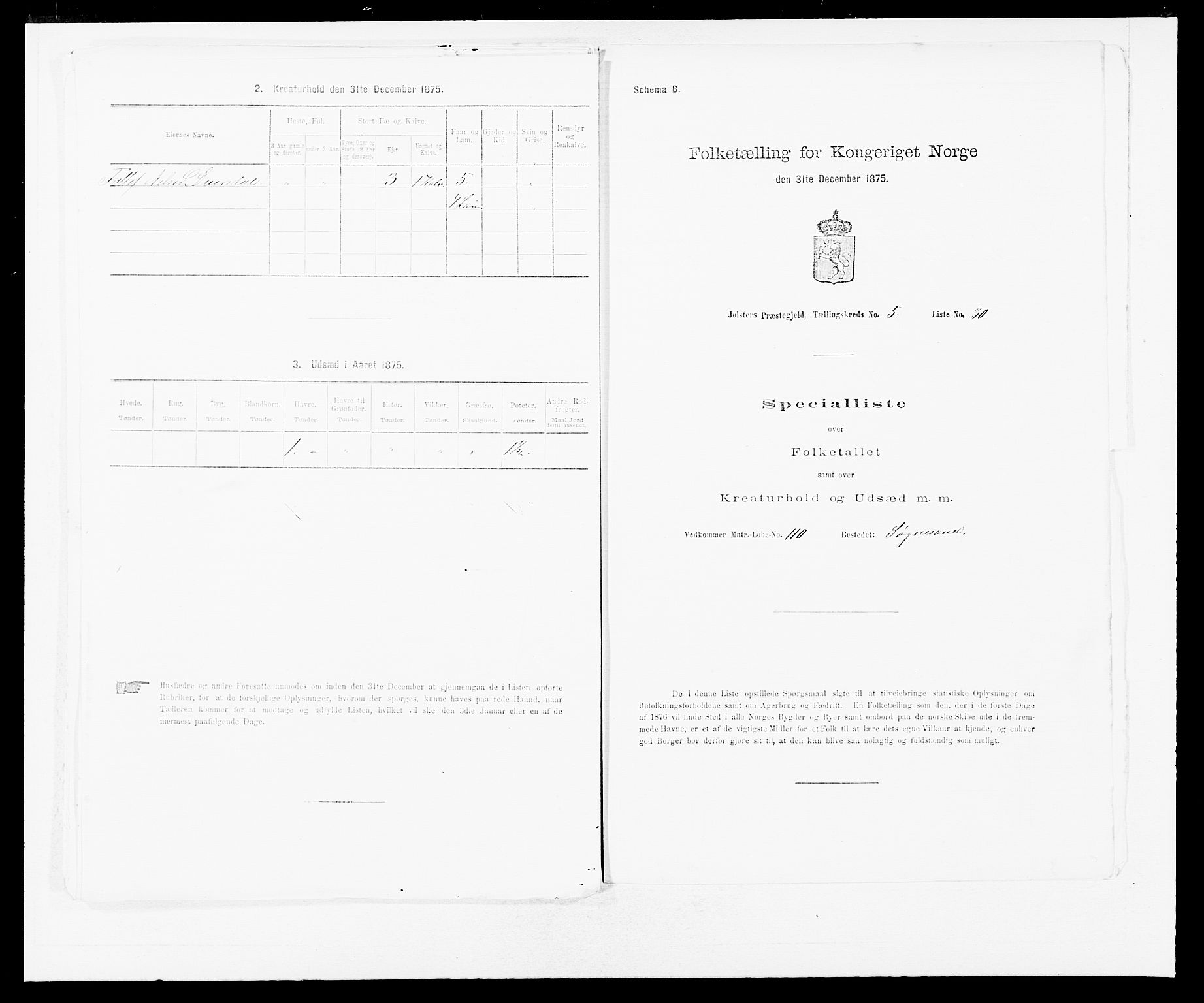 SAB, Folketelling 1875 for 1431P Jølster prestegjeld, 1875, s. 418